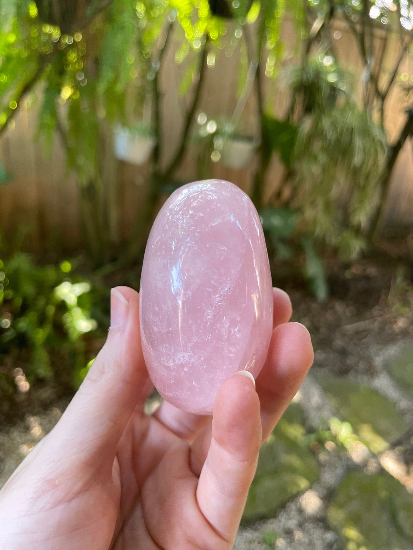 Polished Rose Quartz Palm Stone From Madagascar 212g Specimen Mineral Crystal