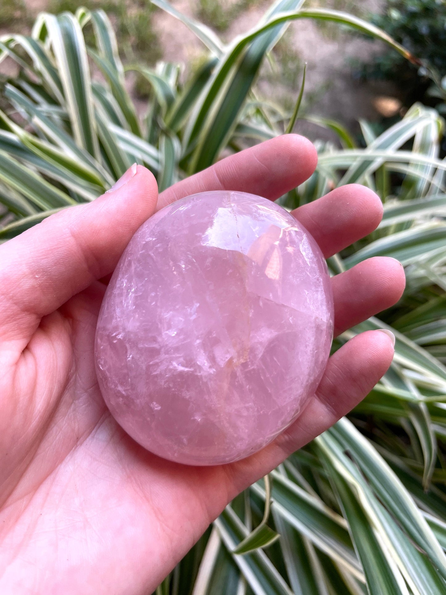 Polished Rose Quartz Palm Stone From Madagascar 212g Specimen Mineral Crystal