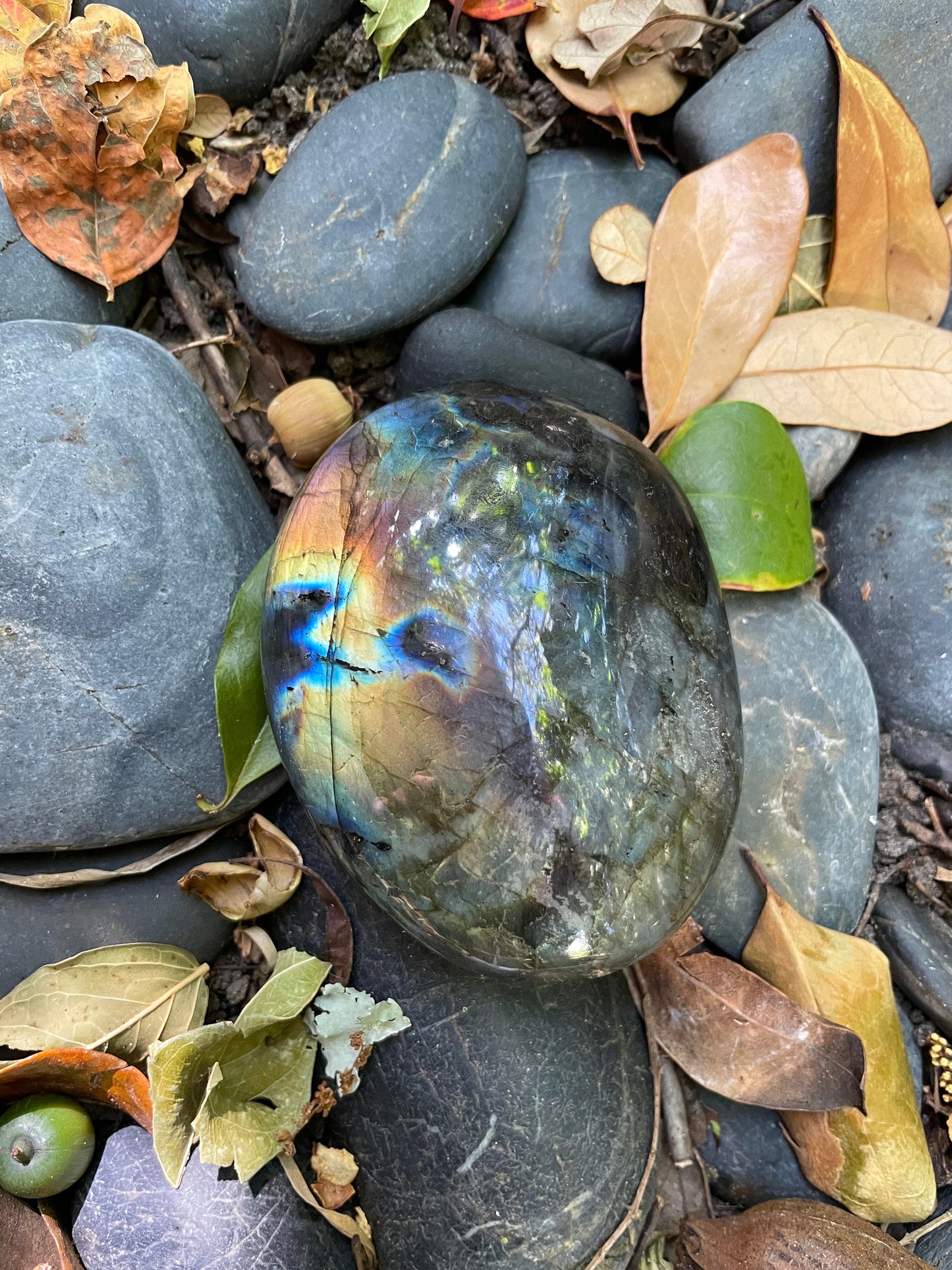 Lovely Polished Rainbow Labradorite Palm Stone 256g Rainbow Flash From Madagascar