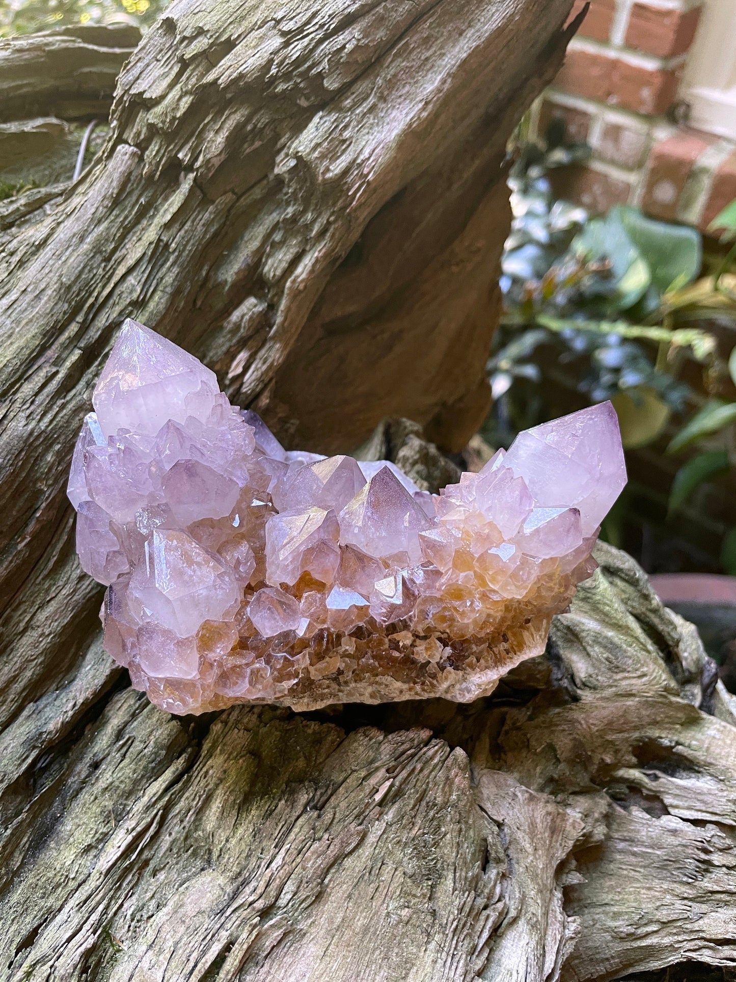 Large Amethyst w/ Iron Spirit Quartz Cluster 520g 1lb 2.3oz Specimen From Mpumalanga South Africa