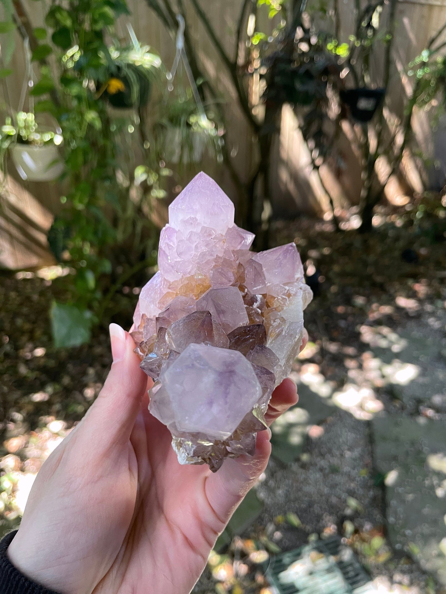 Large Amethyst w/ Iron Spirit Quartz Cluster 520g 1lb 2.3oz Specimen From Mpumalanga South Africa