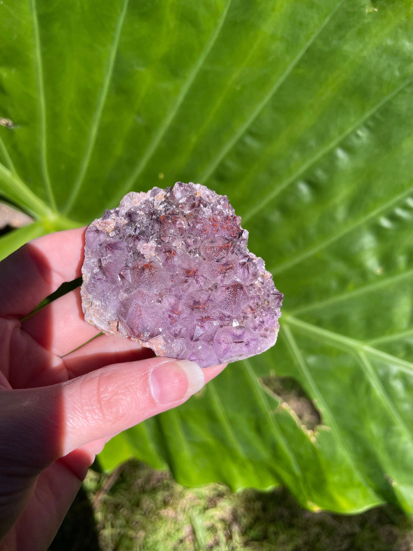 Thunder Bay Amethyst Ontario Canada 104g Specimen Amethyst with Hematite Mineral Crystal