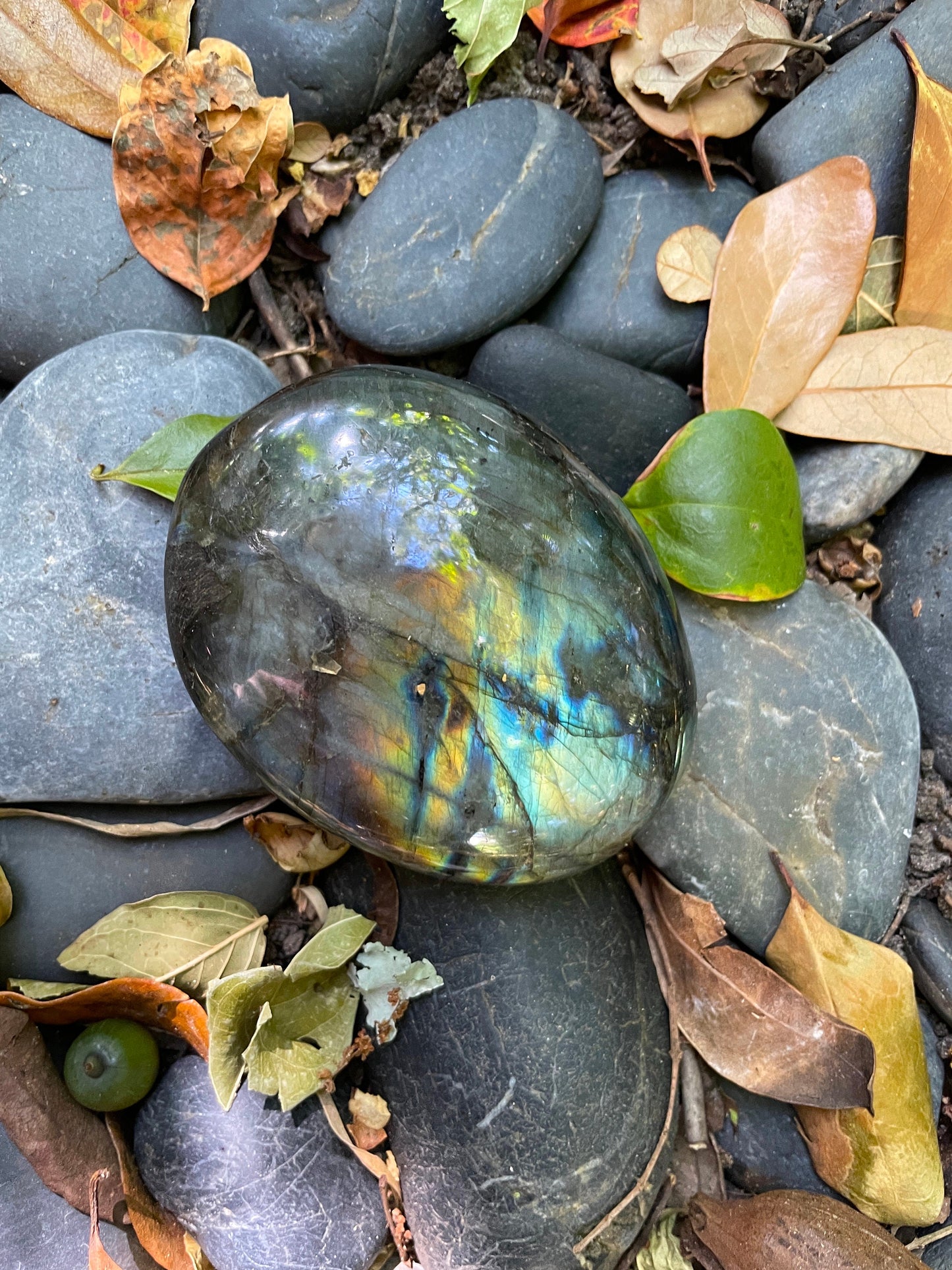 Lovely Polished Rainbow Labradorite Palm Stone 256g Rainbow Flash From Madagascar