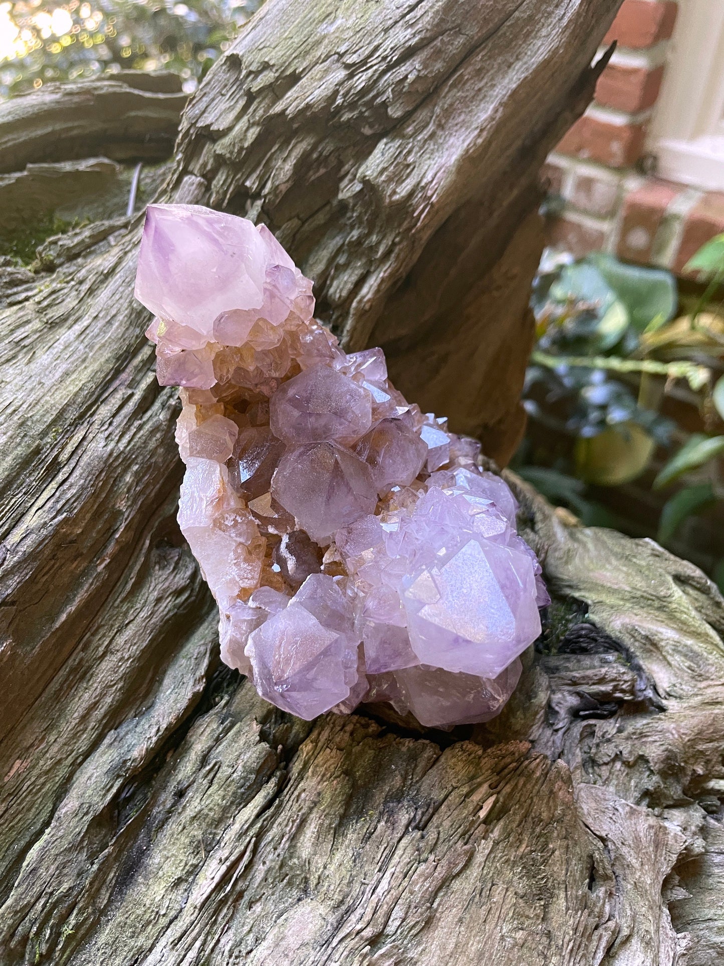 Large Amethyst w/ Iron Spirit Quartz Cluster 520g 1lb 2.3oz Specimen From Mpumalanga South Africa