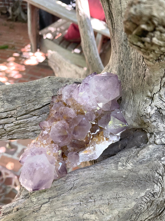 Large Amethyst w/ Iron Spirit Quartz Cluster 520g 1lb 2.3oz Specimen From Mpumalanga South Africa