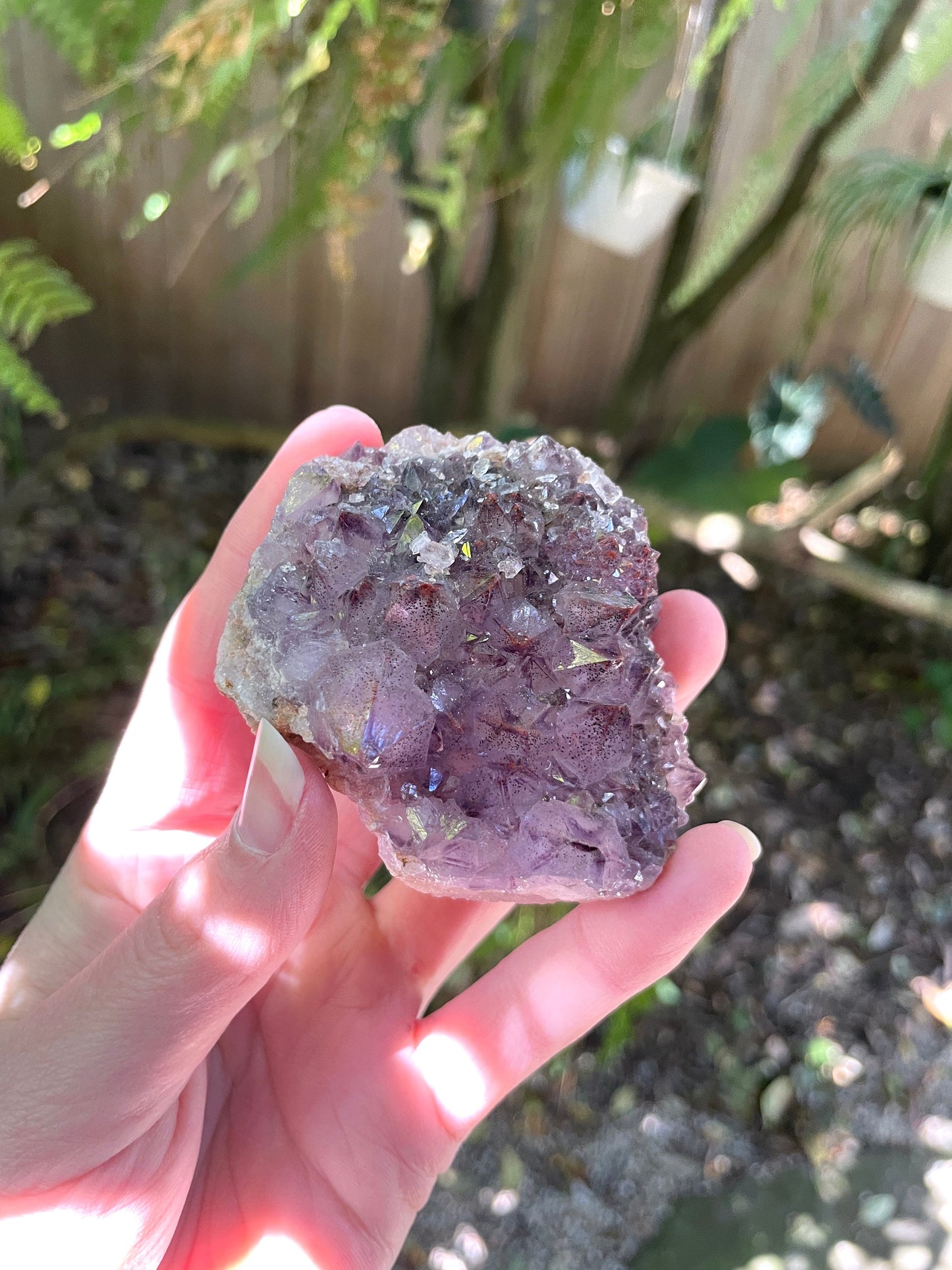 Thunder Bay Amethyst Ontario Canada 104g Specimen Amethyst with Hematite Mineral Crystal