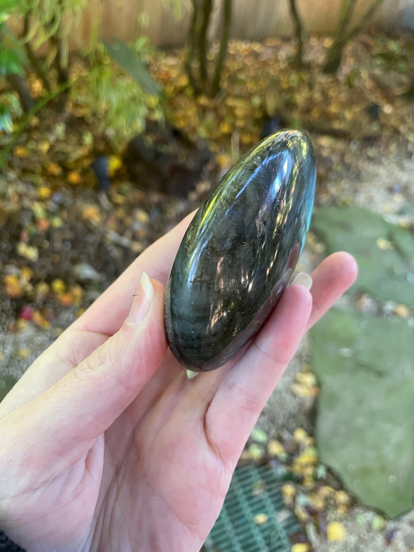 Lovely Polished Rainbow Labradorite Palm Stone 226g Rainbow Flash From Madagascar