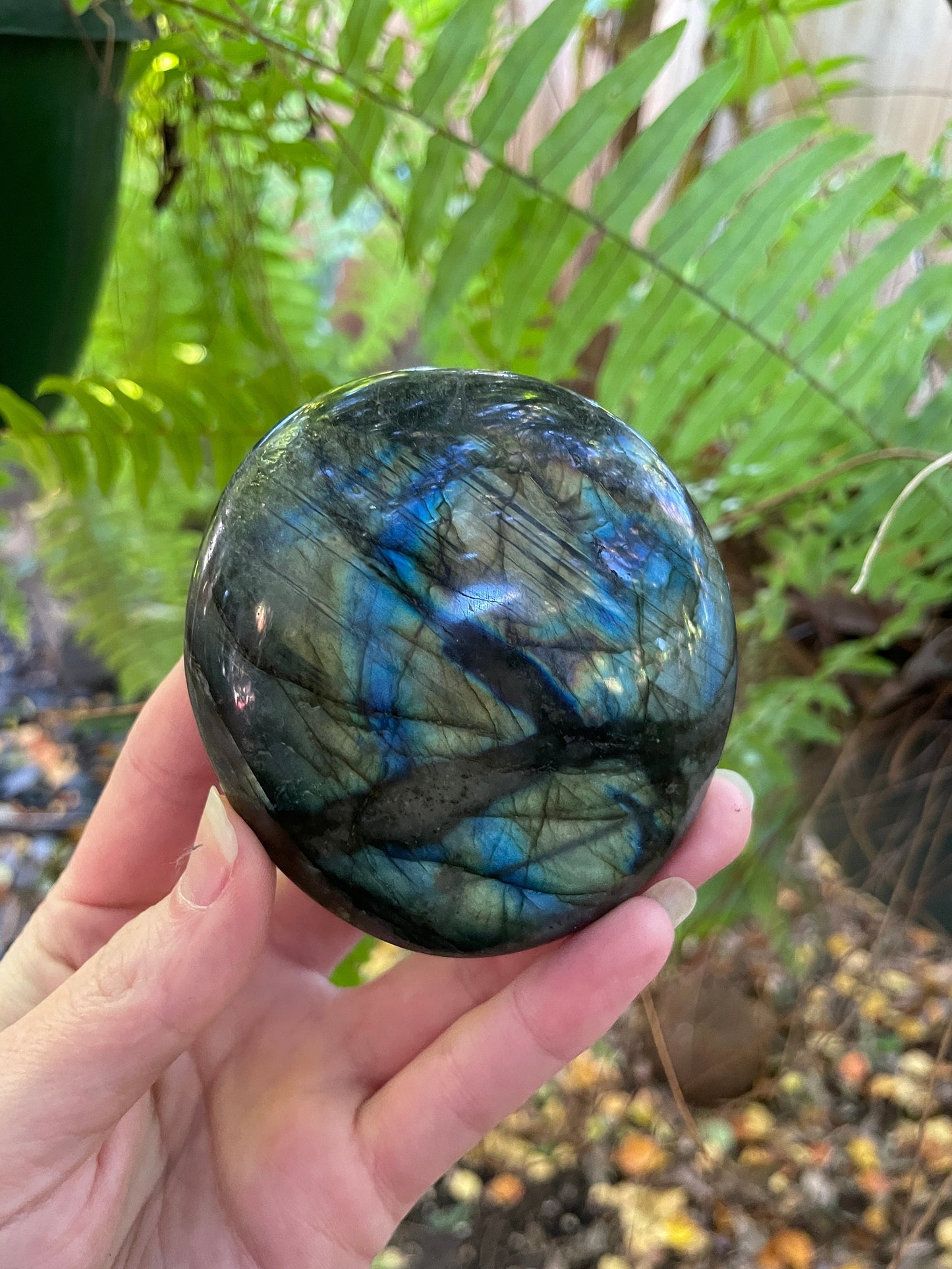 Lovely Polished Rainbow Labradorite Palm Stone 226g Rainbow Flash From Madagascar