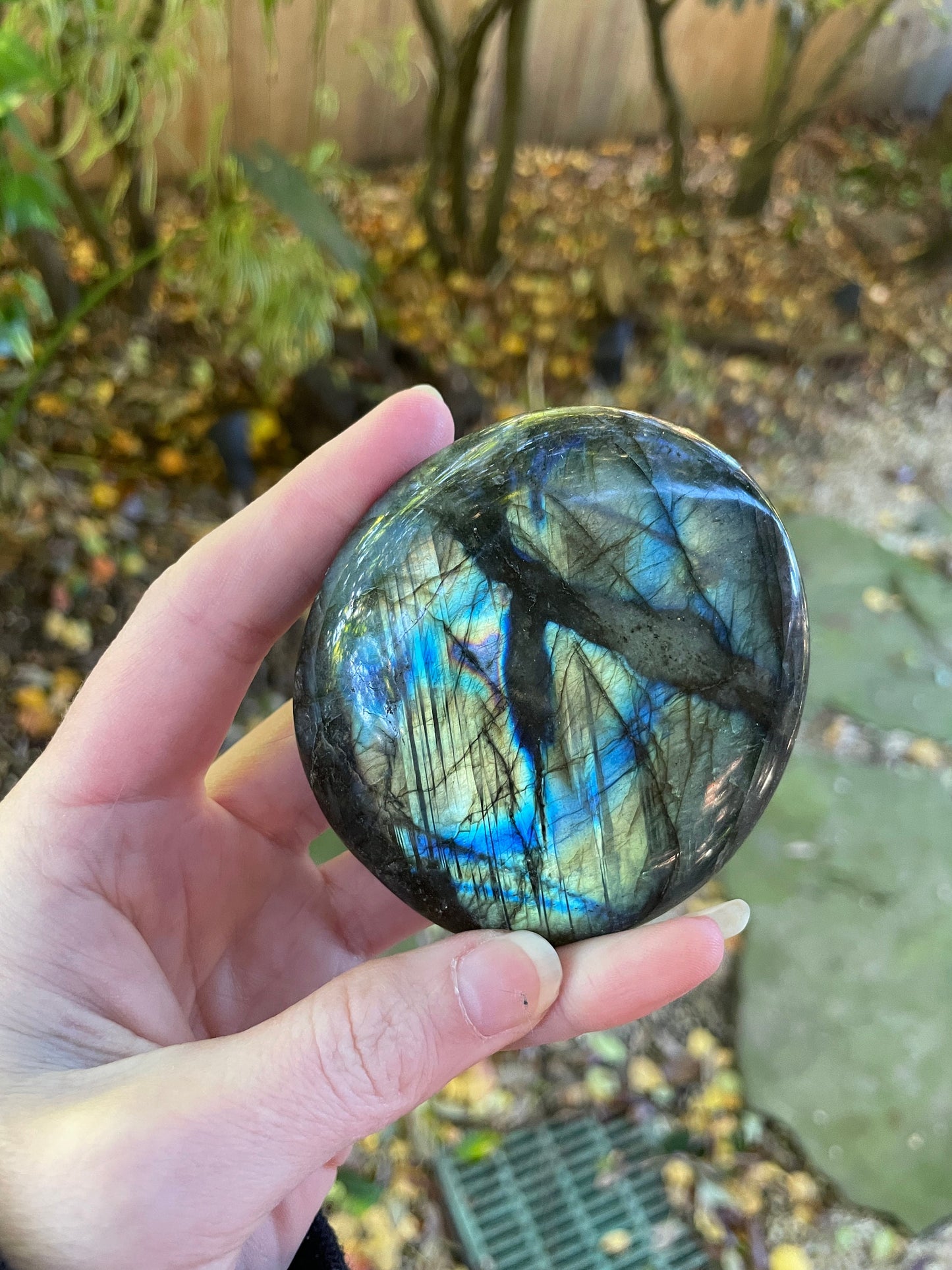 Lovely Polished Rainbow Labradorite Palm Stone 226g Rainbow Flash From Madagascar