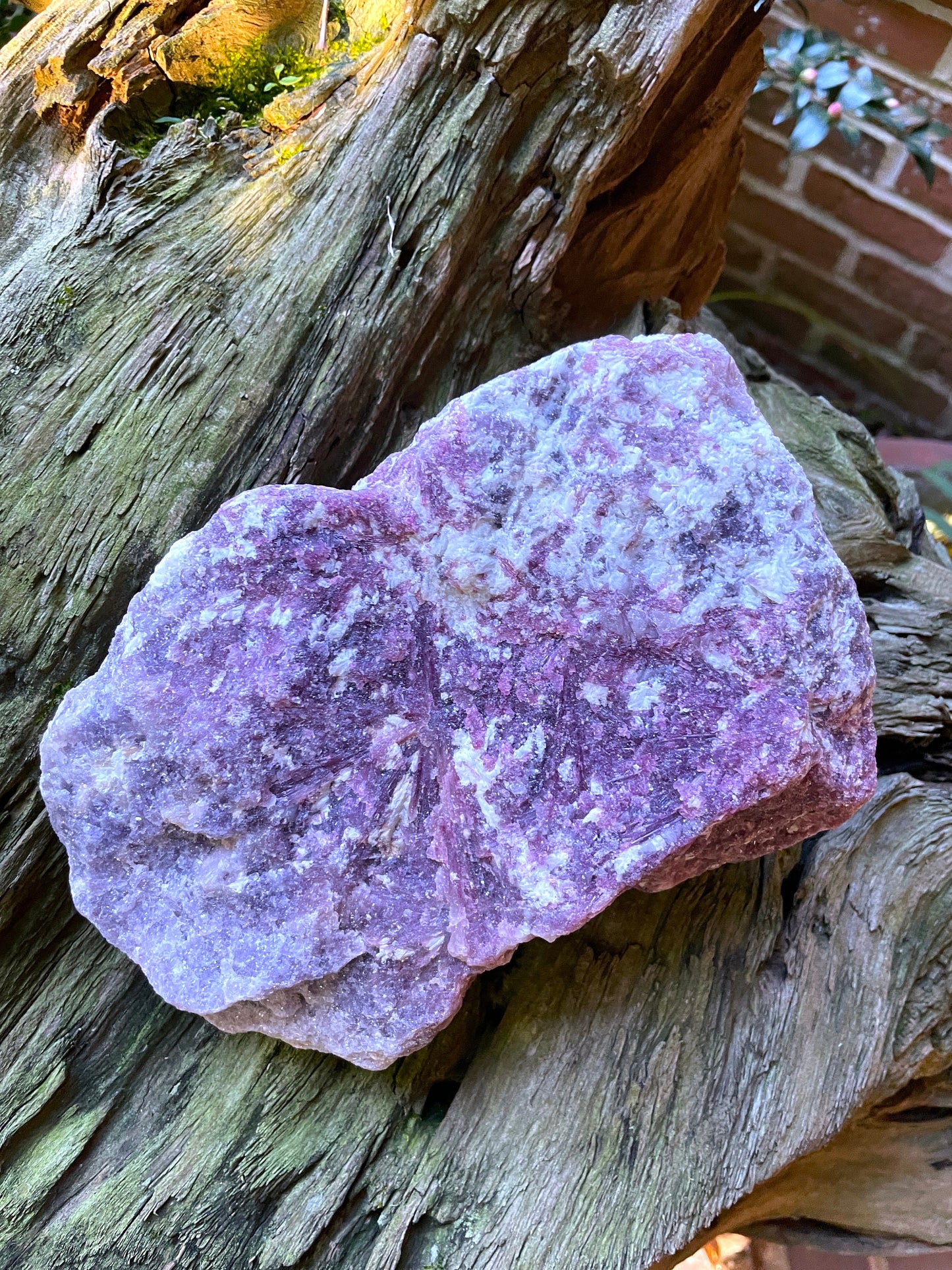 Beautiful Raw Lepidolite and Rubellite Specimen From Minas Gerais Brazil 2430g 5lbs 5.8oz Mineral Crystal Lithium