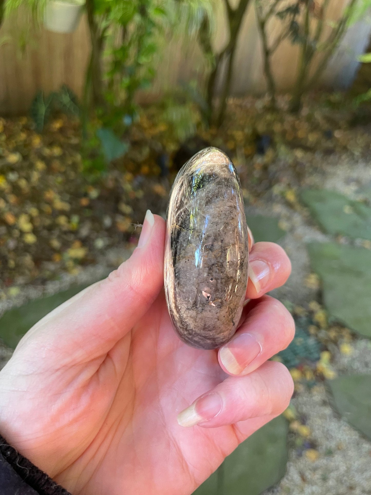 Black Moonstone Palm Stone Gallete 143.2g Specimen From Madagascar Mineral Crystal