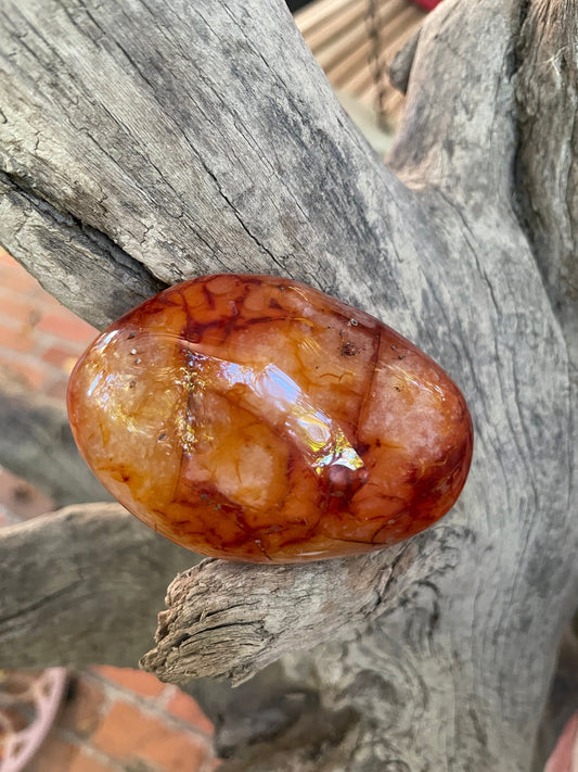 Medium Carnelian Palm Stone/Gallete Specimen 186.7g From Madagascar Mineral Crystal