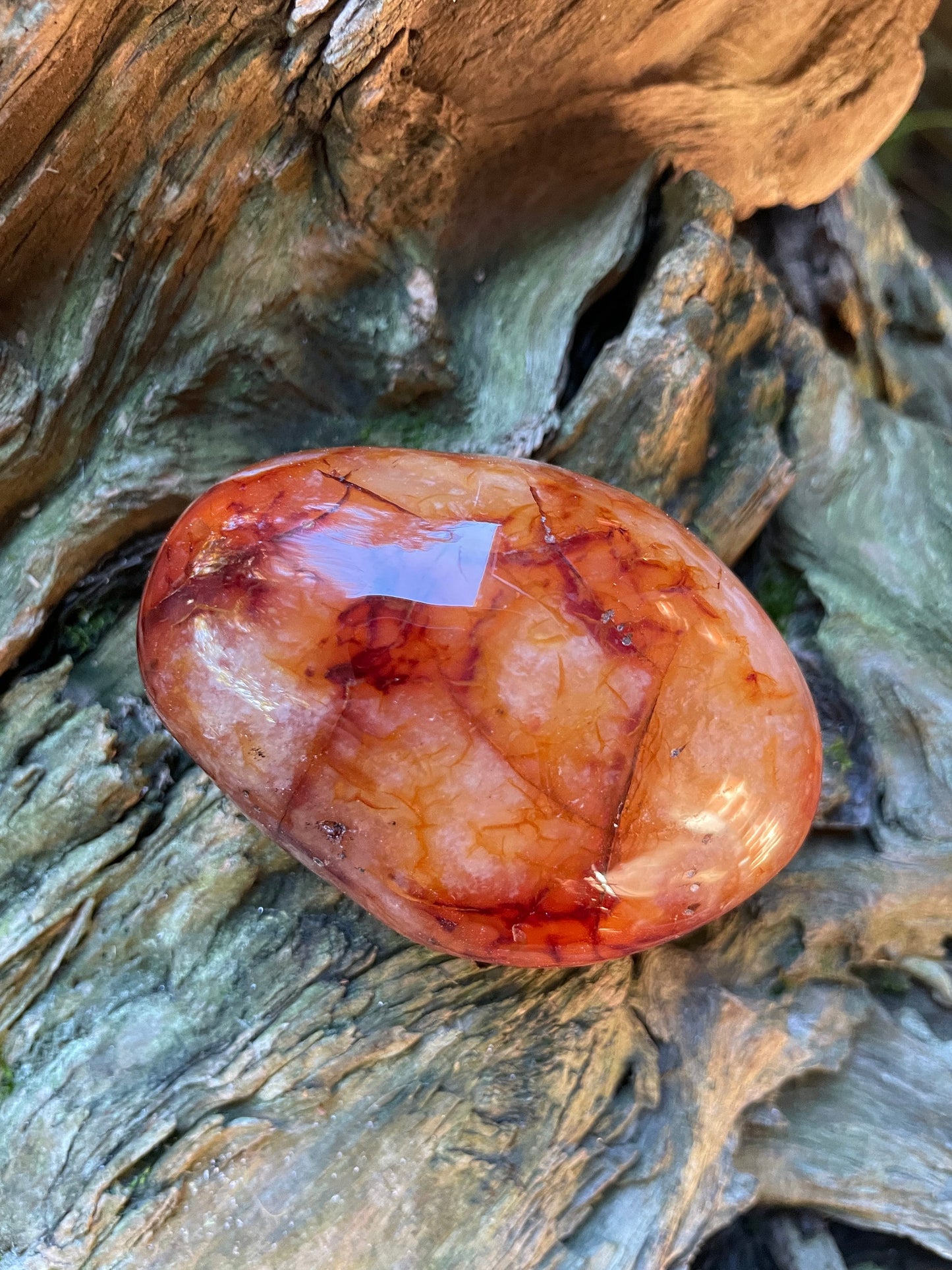 Medium Carnelian Palm Stone/Gallete Specimen 186.7g From Madagascar Mineral Crystal