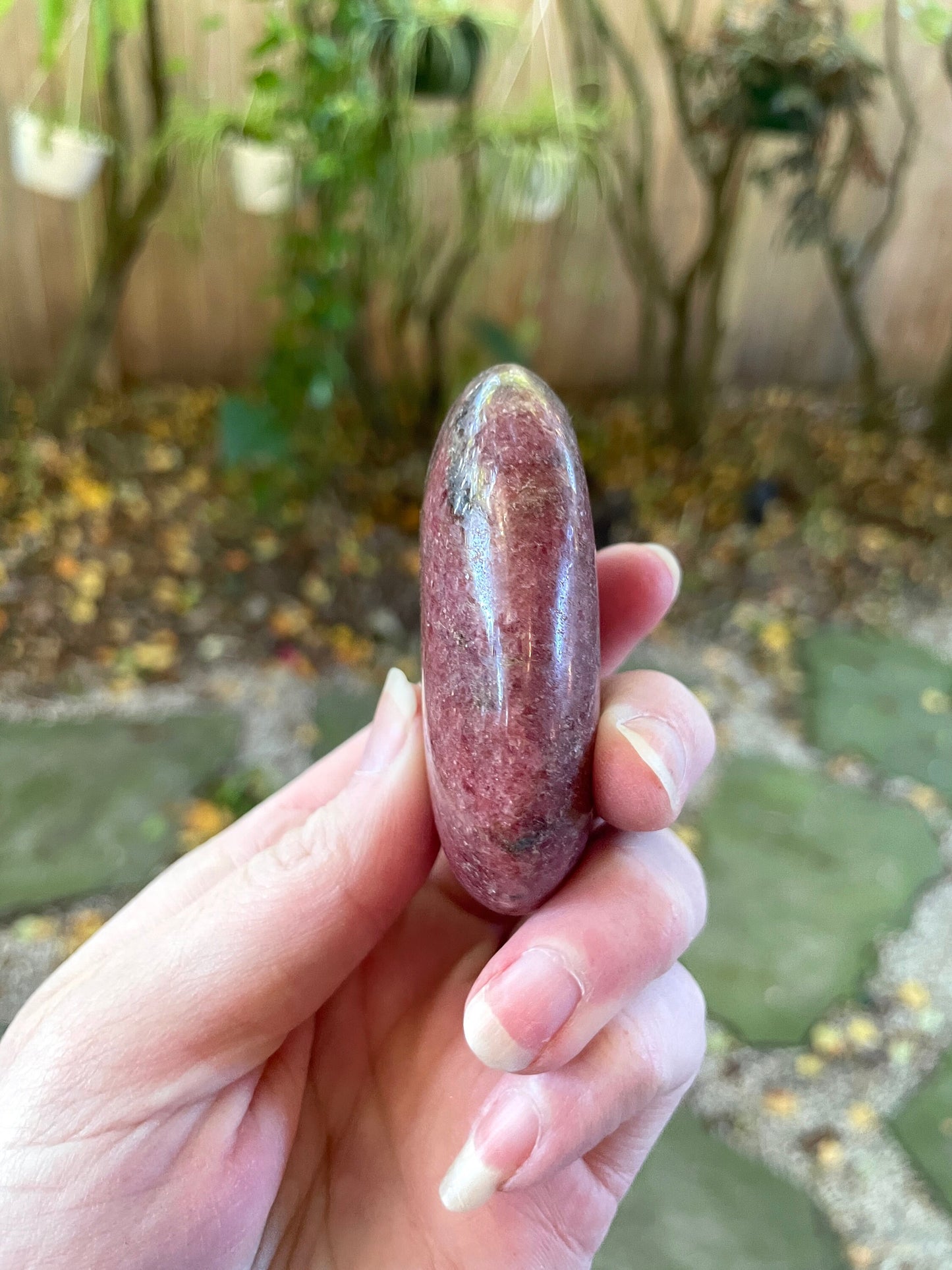 Beautiful Polished Palm Stone Rhodonite Specimen 153.7g From Madagascar Mineral Crystal