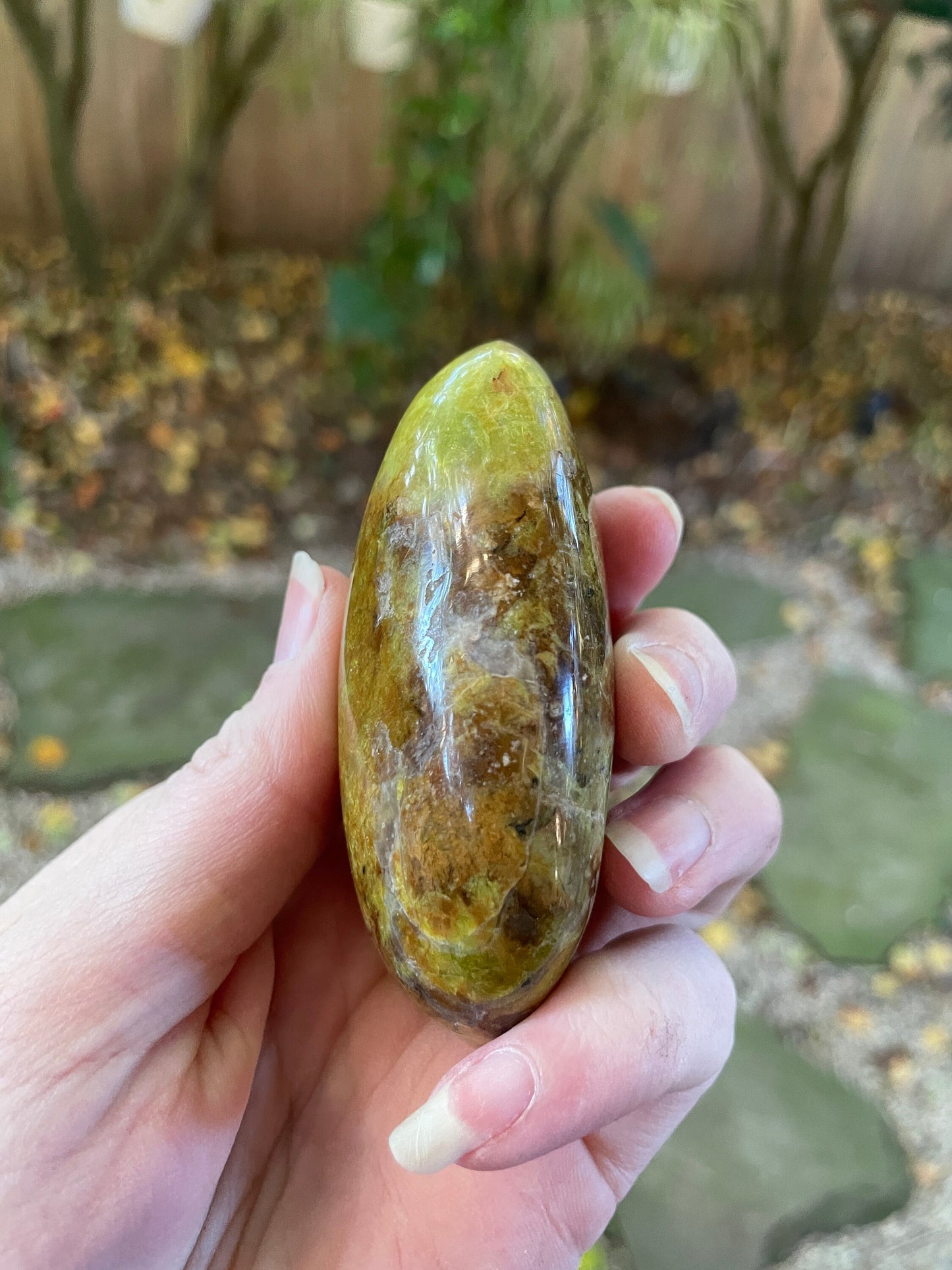 Polished Green Opal Palm Stone From Madagascar, Specimen 130.9g Mineral Crystal