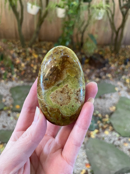 Polished Green Opal Palm Stone From Madagascar, Specimen 130.9g Mineral Crystal