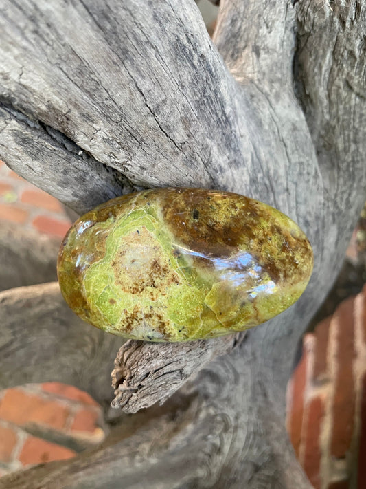 Polished Green Opal Palm Stone From Madagascar, Specimen 130.9g Mineral Crystal