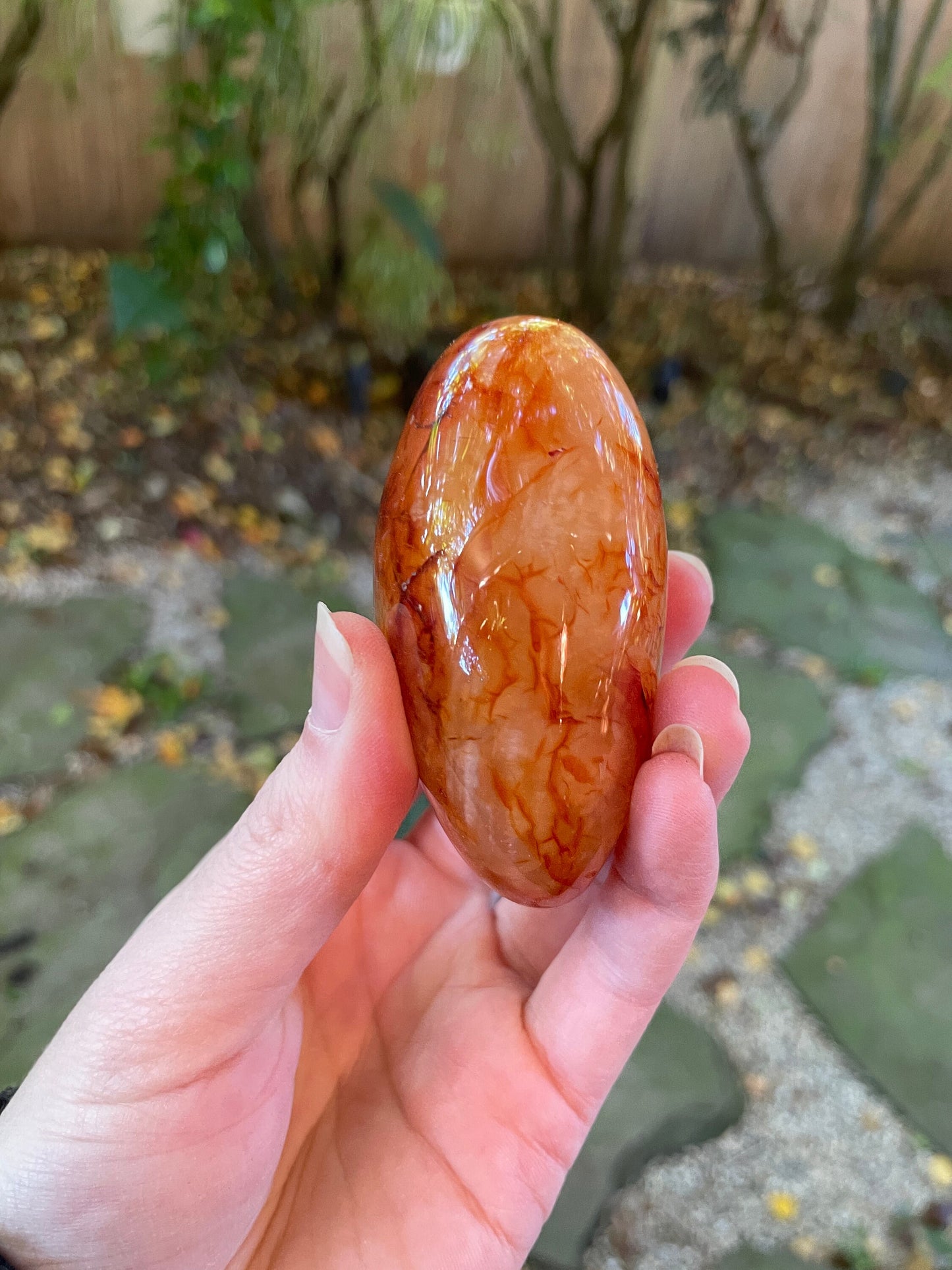 Medium Carnelian Palm Stone/Gallete Specimen 186.7g From Madagascar Mineral Crystal