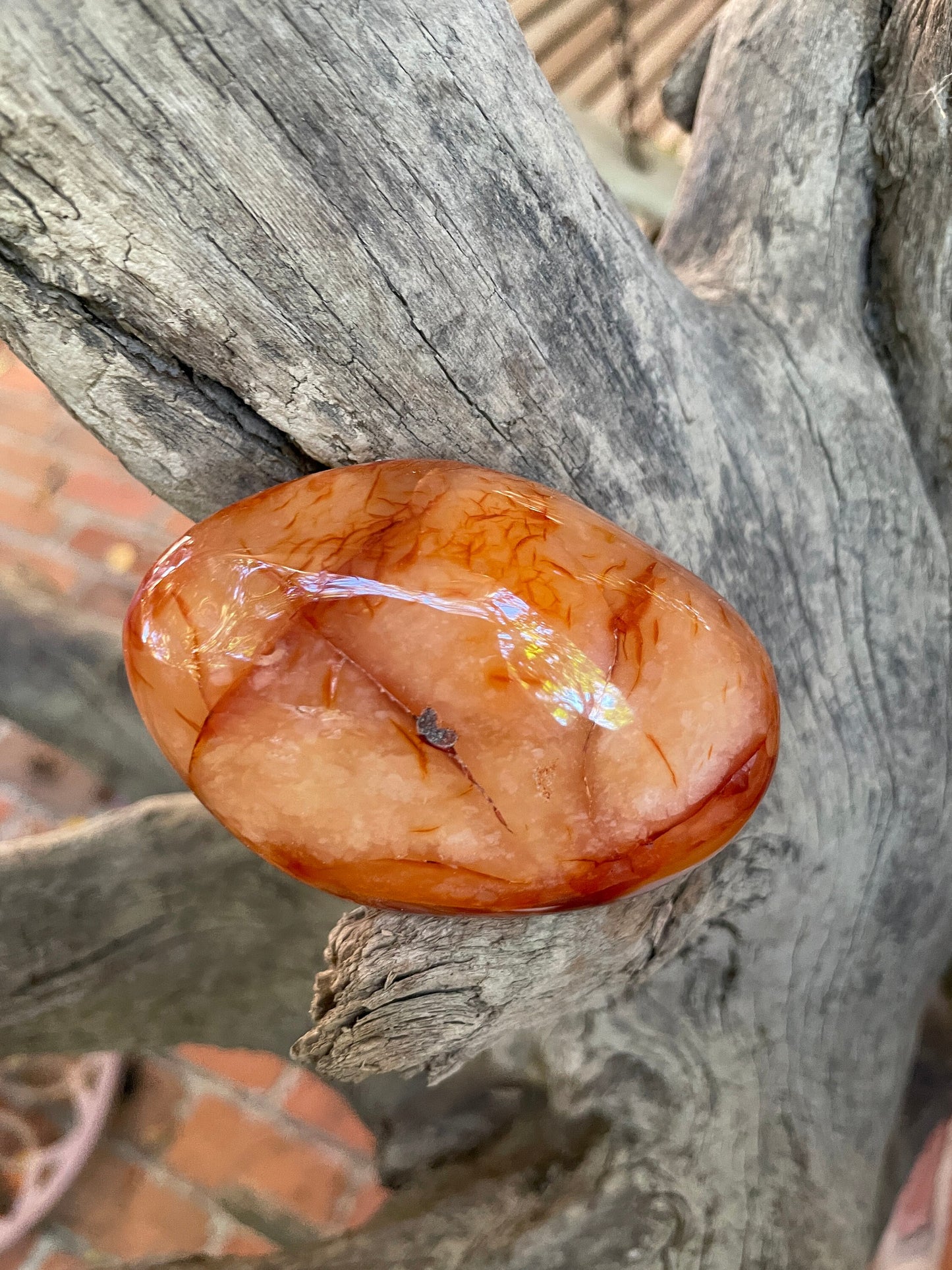 Medium Carnelian Palm Stone/Gallete Specimen 186.7g From Madagascar Mineral Crystal