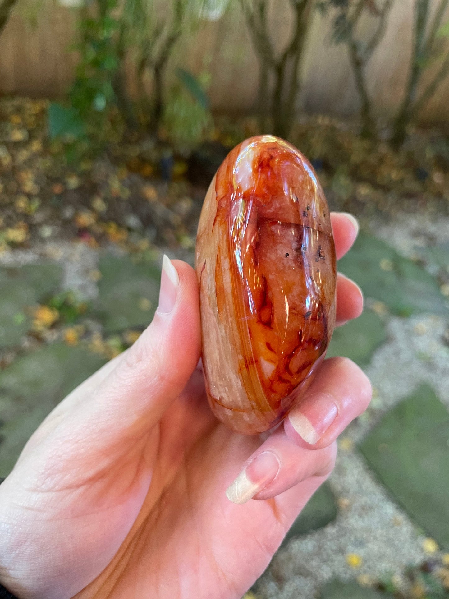 Medium Carnelian Palm Stone/Gallete Specimen 186.7g From Madagascar Mineral Crystal