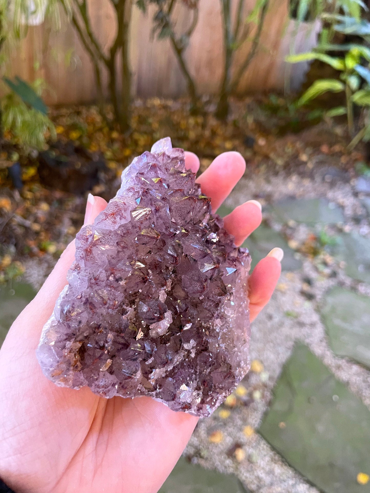 Thunder Bay Amethyst Ontario Canada 288g Specimen Amethyst with Hematite Mineral Crystal