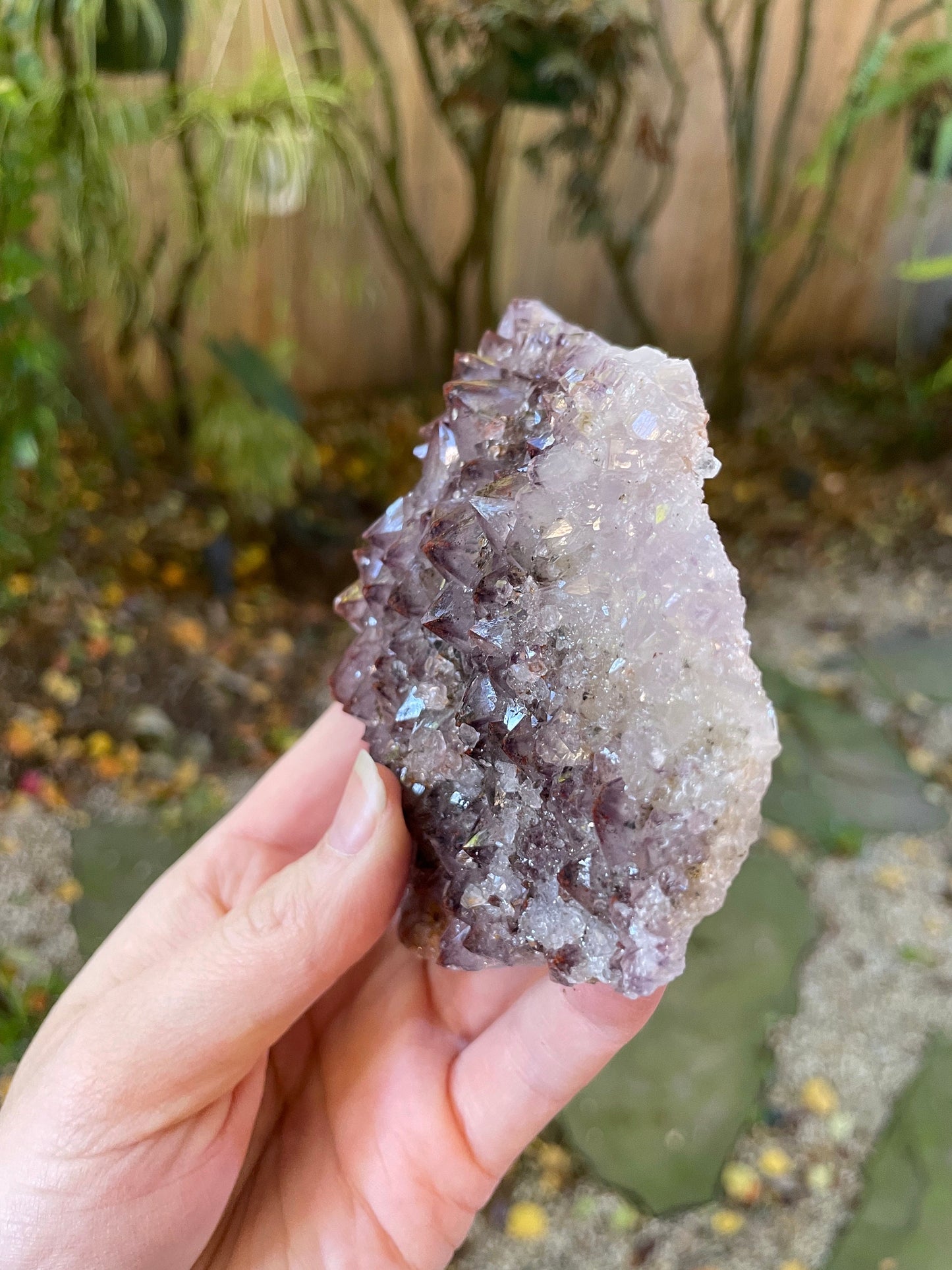 Thunder Bay Amethyst Ontario Canada 288g Specimen Amethyst with Hematite Mineral Crystal