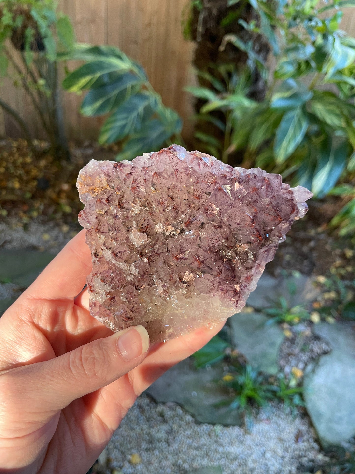 Thunder Bay Amethyst Ontario Canada 288g Specimen Amethyst with Hematite Mineral Crystal