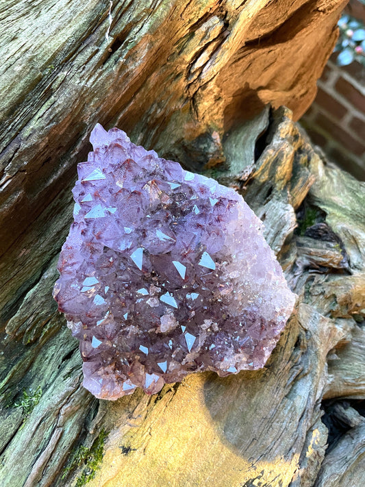 Thunder Bay Amethyst Ontario Canada 288g Specimen Amethyst with Hematite Mineral Crystal