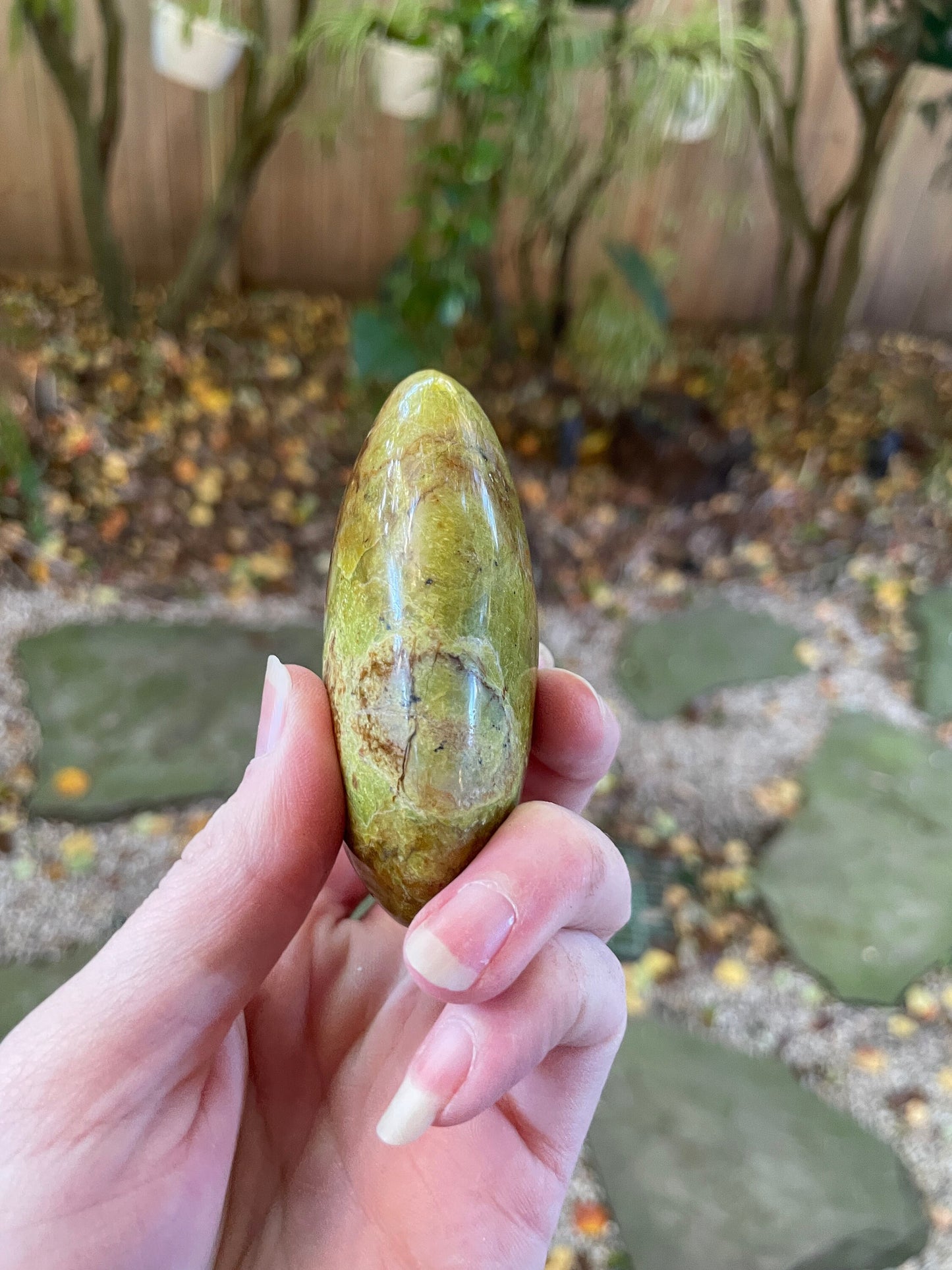 Polished Green Opal Palm Stone From Madagascar, Specimen 130.9g Mineral Crystal