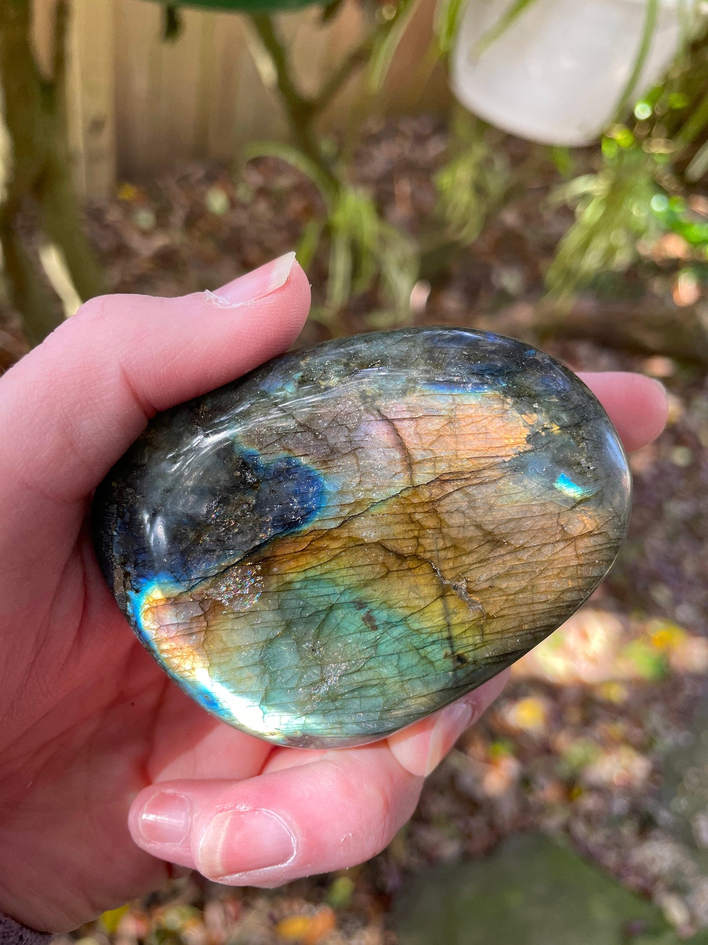 Lovely Polished Rainbow Labradorite Palm Stone 166.5g Rainbow Flash From Madagascar