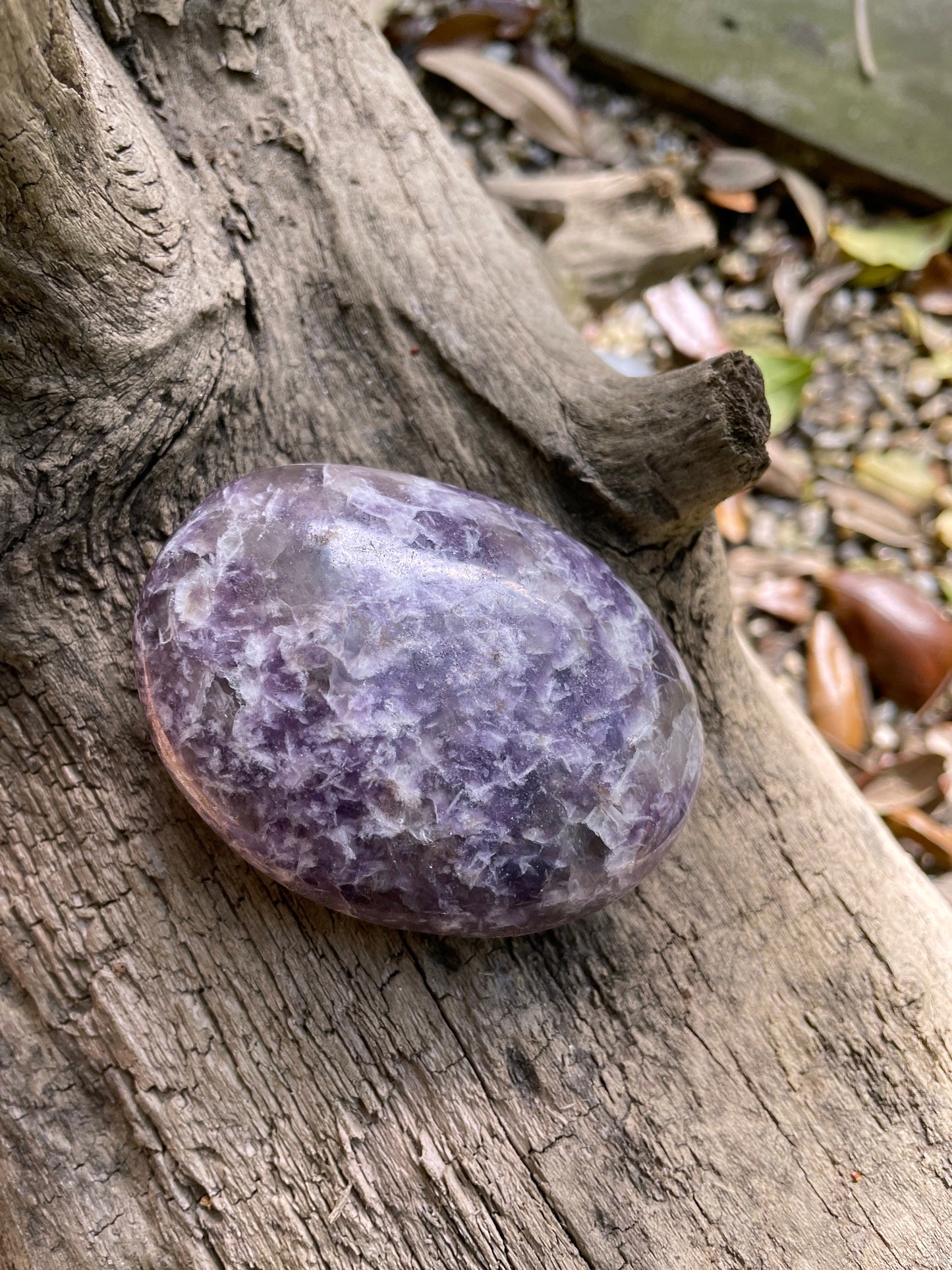 Large Purple Lepidolite Palm Stone Specimen 219.5 From Madagascar