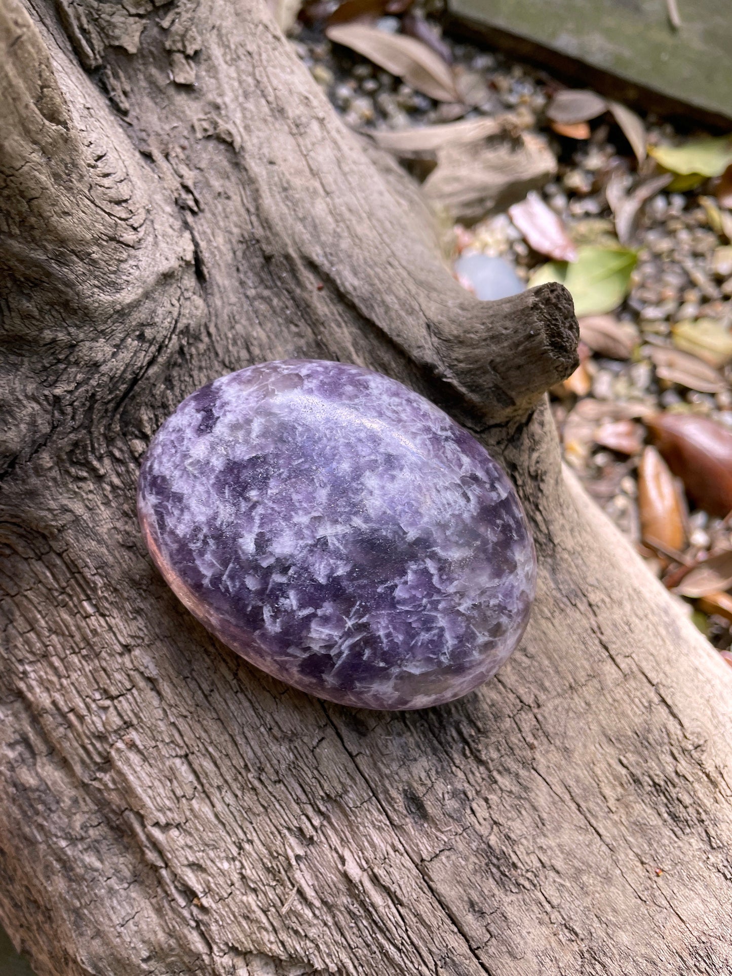 Large Purple Lepidolite Palm Stone Specimen 219.5 From Madagascar