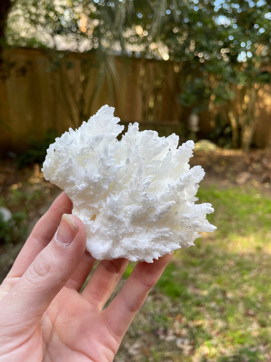 Aragonite Cave Calcite From Mexico 296.6g Specimen Crystals Minerals