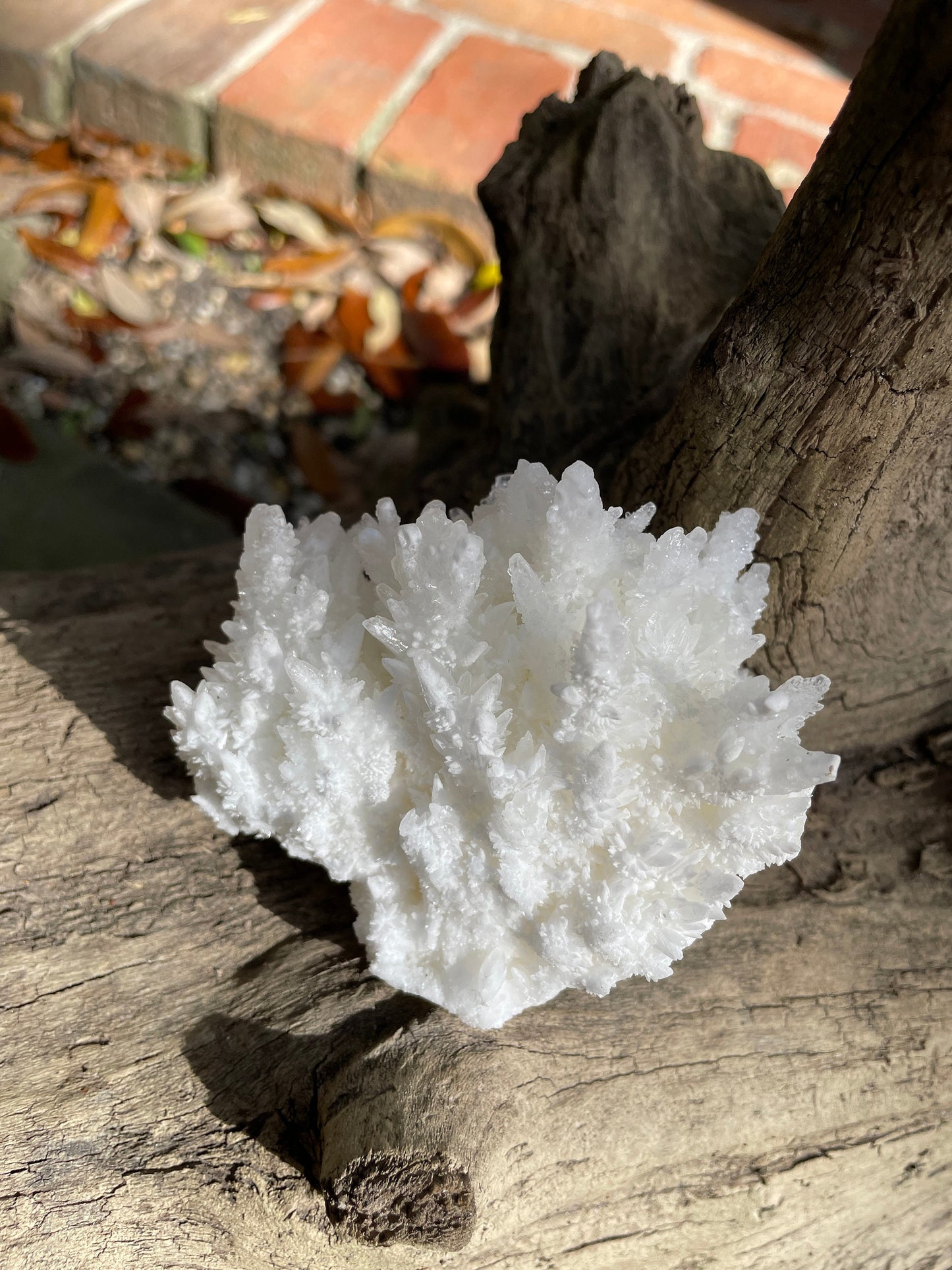 Aragonite Cave Calcite From Mexico 296.6g Specimen Crystals Minerals