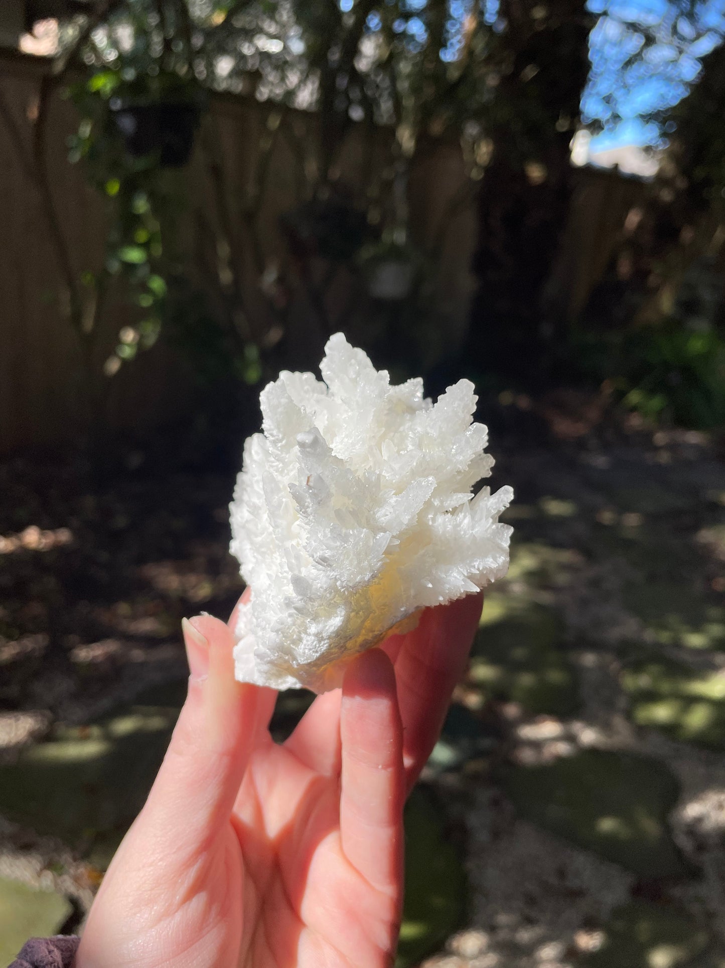 Aragonite Cave Calcite From Mexico 296.6g Specimen Crystals Minerals