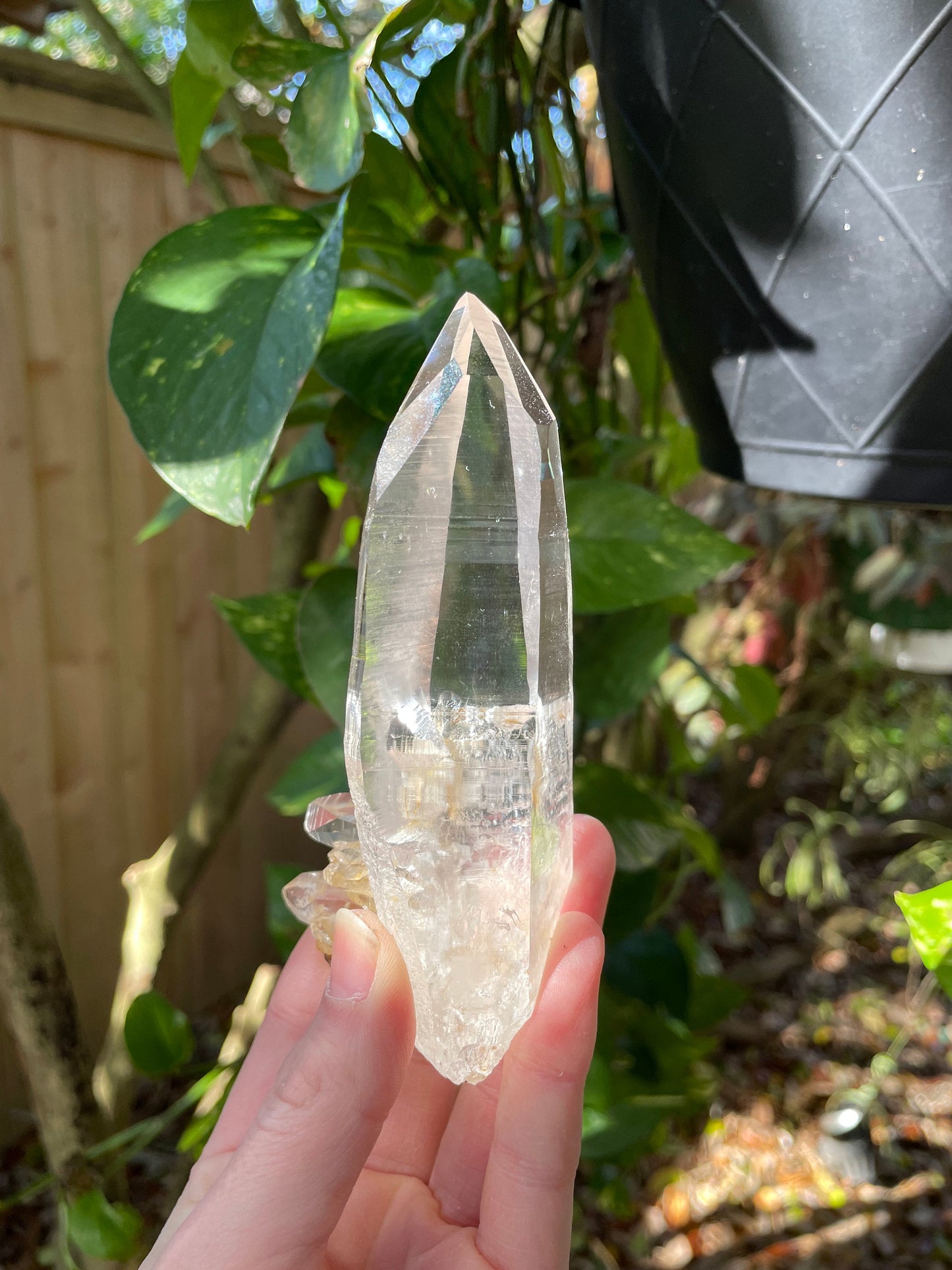 Stunning Large Columbian Lemurian Optical Quartz Point 194g Specimen Mineral Crystal Water Clear