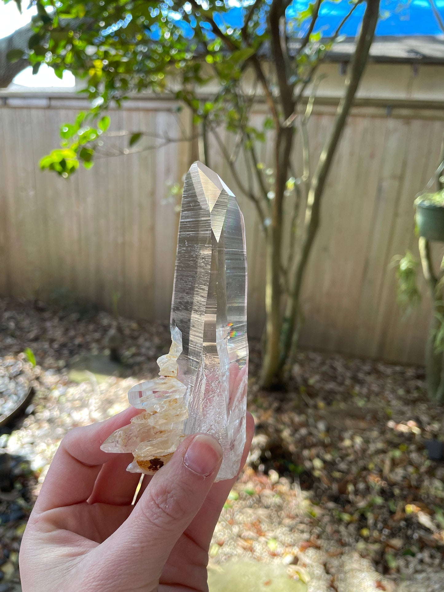 Stunning Large Columbian Lemurian Optical Quartz Point 194g Specimen Mineral Crystal Water Clear