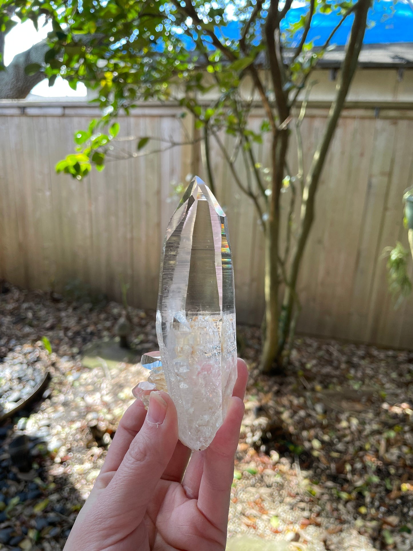 Stunning Large Columbian Lemurian Optical Quartz Point 194g Specimen Mineral Crystal Water Clear