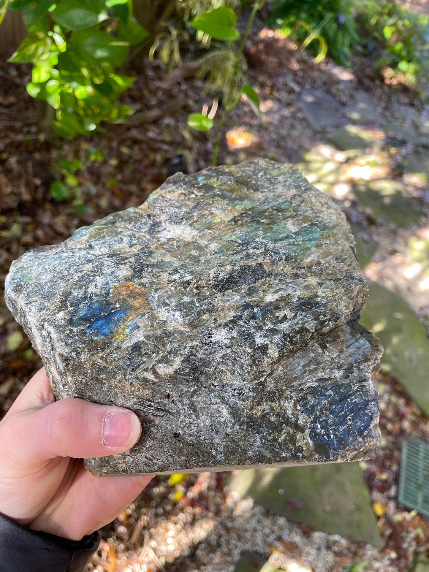 Large Half Polished Polished Labradorite Free Form 1614g 3lbs 8.9oz From Madagascar Great Flash