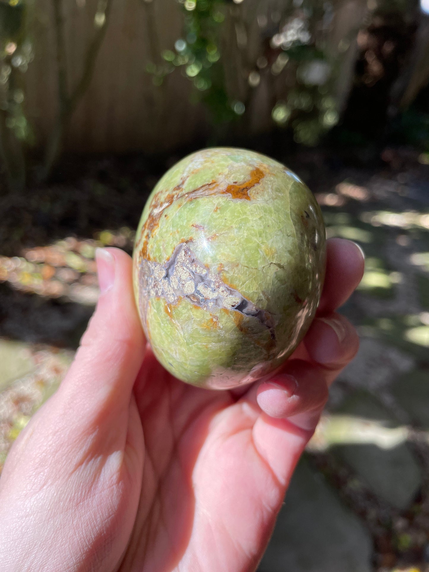 Polished Green Opal Palm Stone From Madagascar, Specimen 246.5g Mineral Crystal