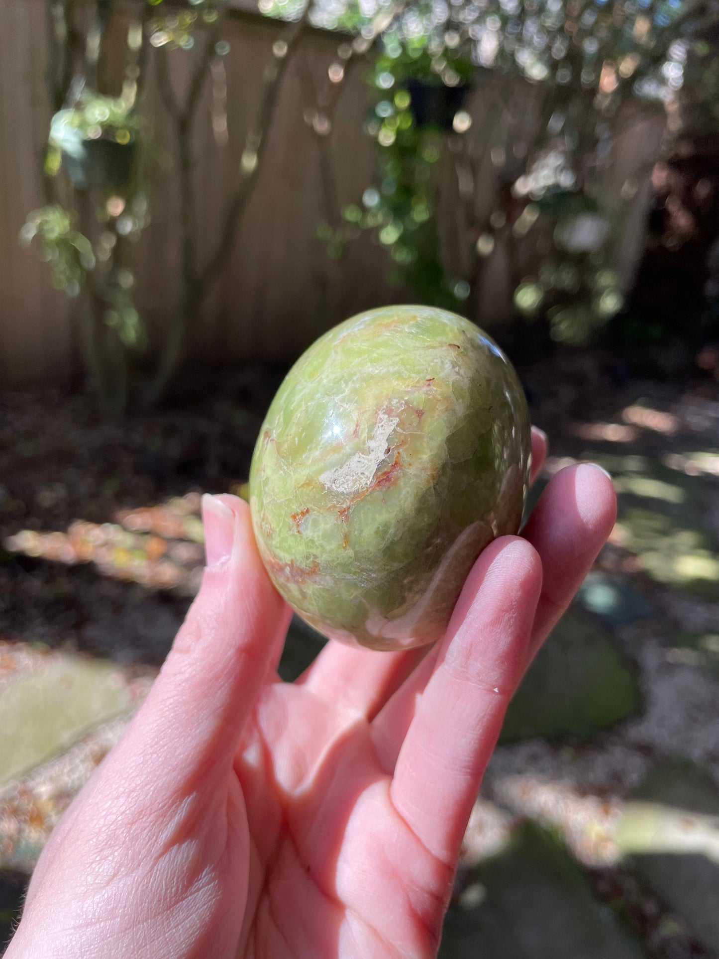 Polished Green Opal Palm Stone From Madagascar, Specimen 246.5g Mineral Crystal