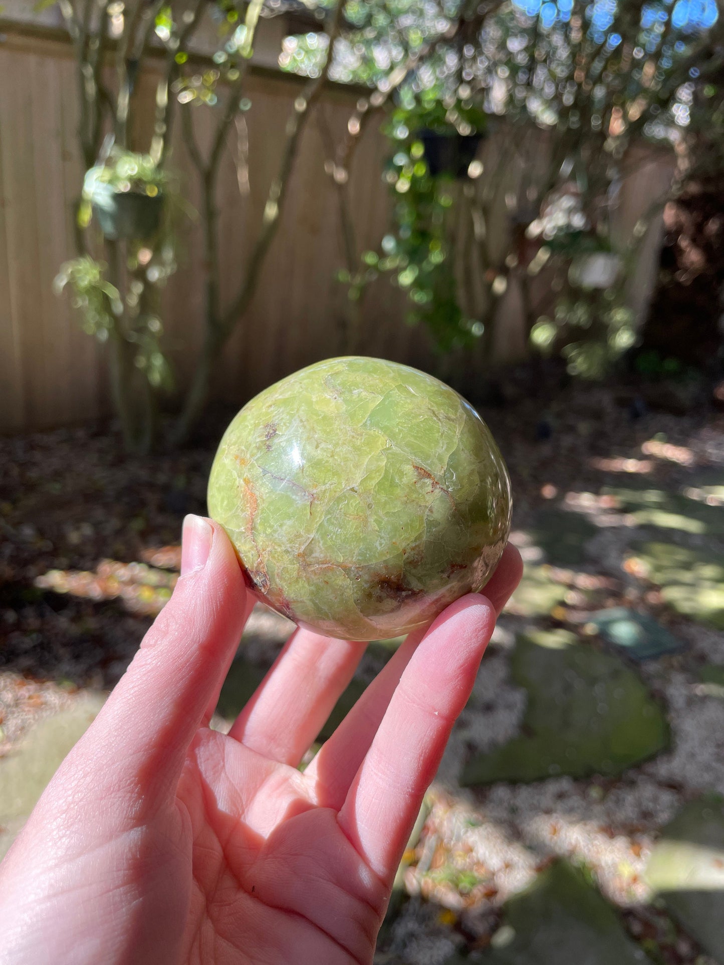 Polished Green Opal Palm Stone From Madagascar, Specimen 246.5g Mineral Crystal