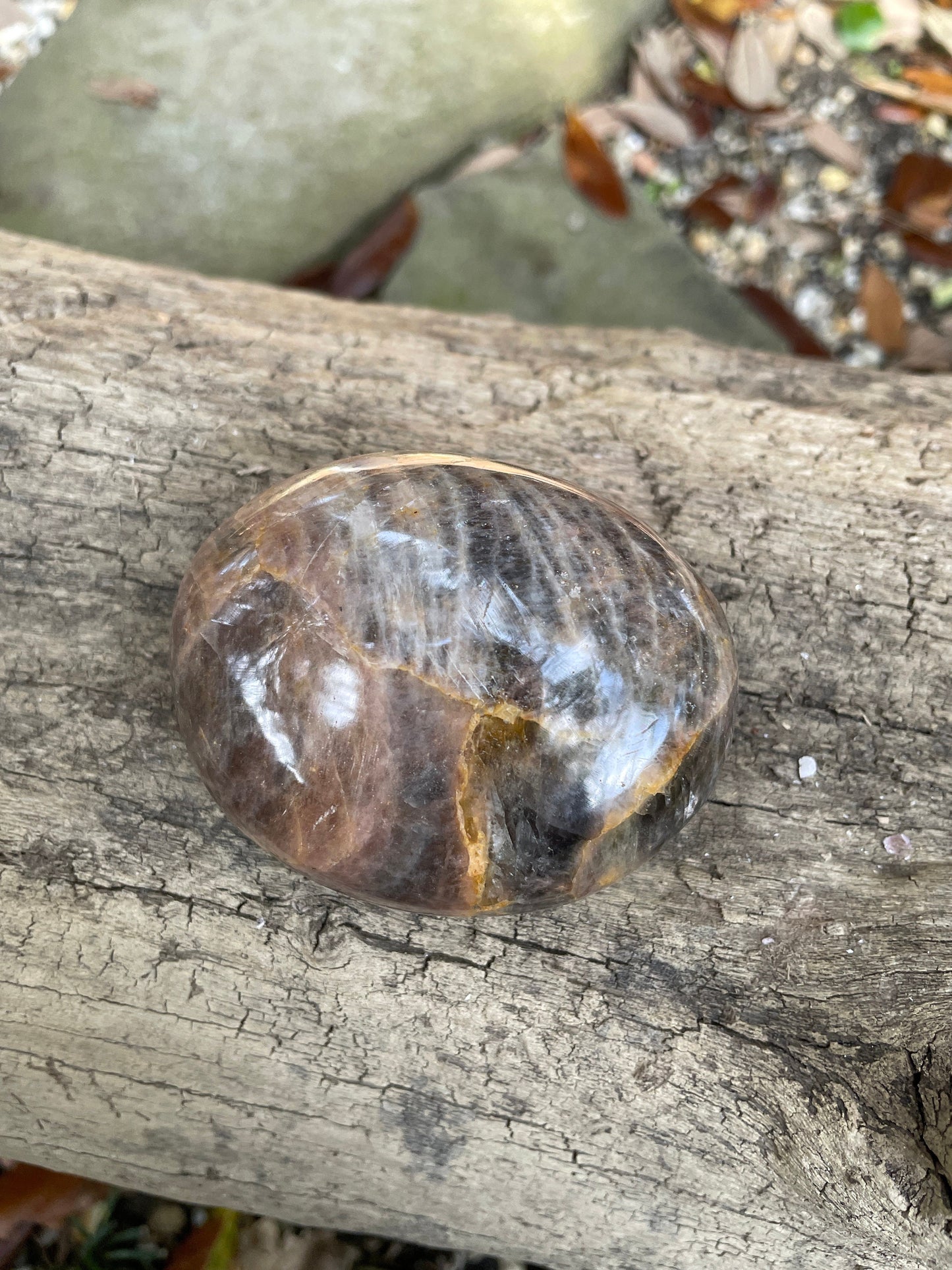 Black Moonstone Palm Stone Gallete 191.3g Specimen From Madagascar