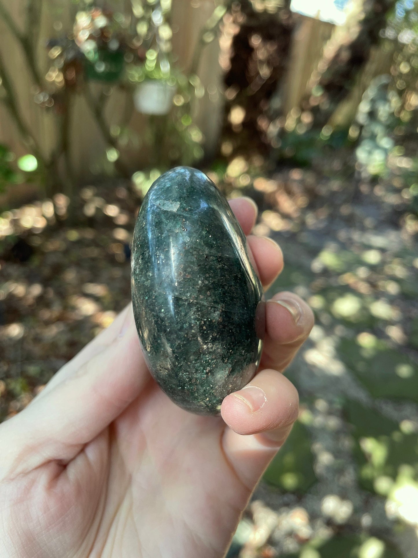 Deep Green Fuchsite palm stone 176.6g Specimen From Madagascar Crystals Minerals