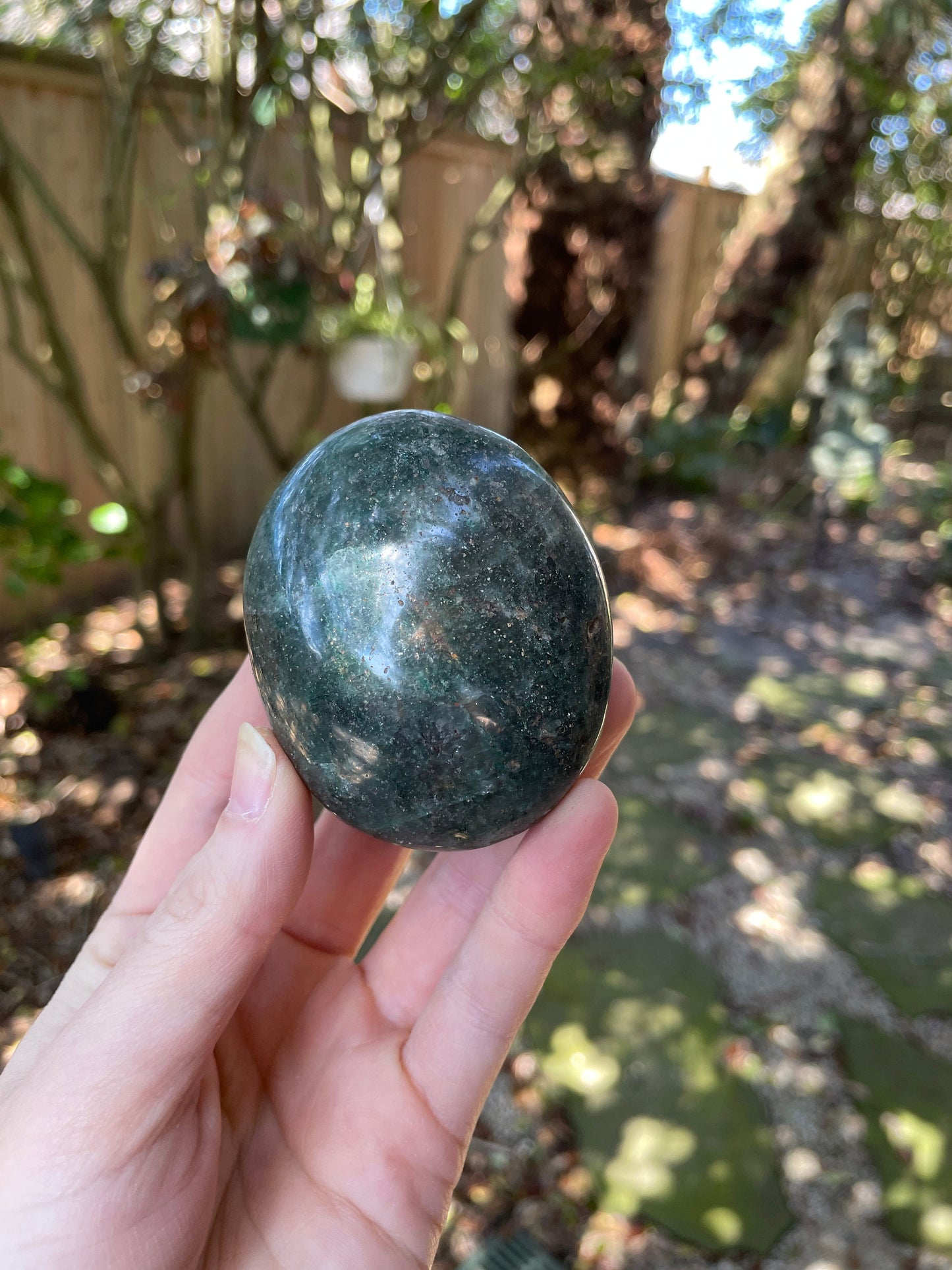 Deep Green Fuchsite palm stone 176.6g Specimen From Madagascar Crystals Minerals