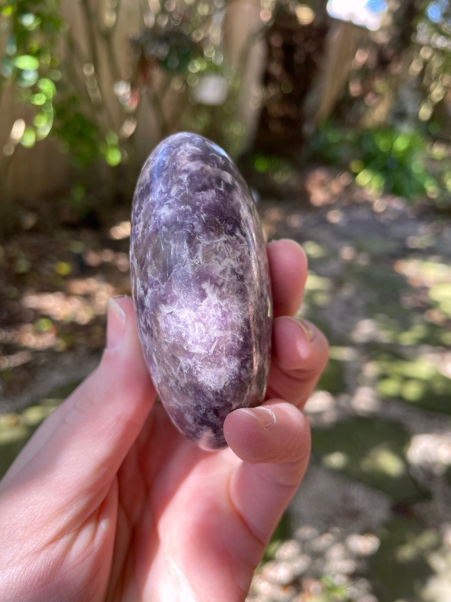 Large Purple Lepidolite Palm Stone Specimen 219.5 From Madagascar