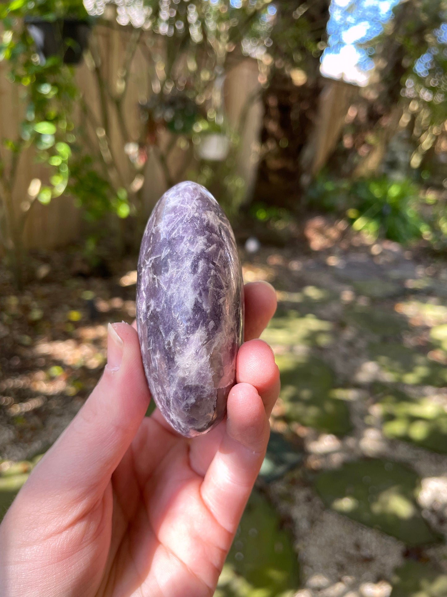 Large Purple Lepidolite Palm Stone Specimen 219.5 From Madagascar