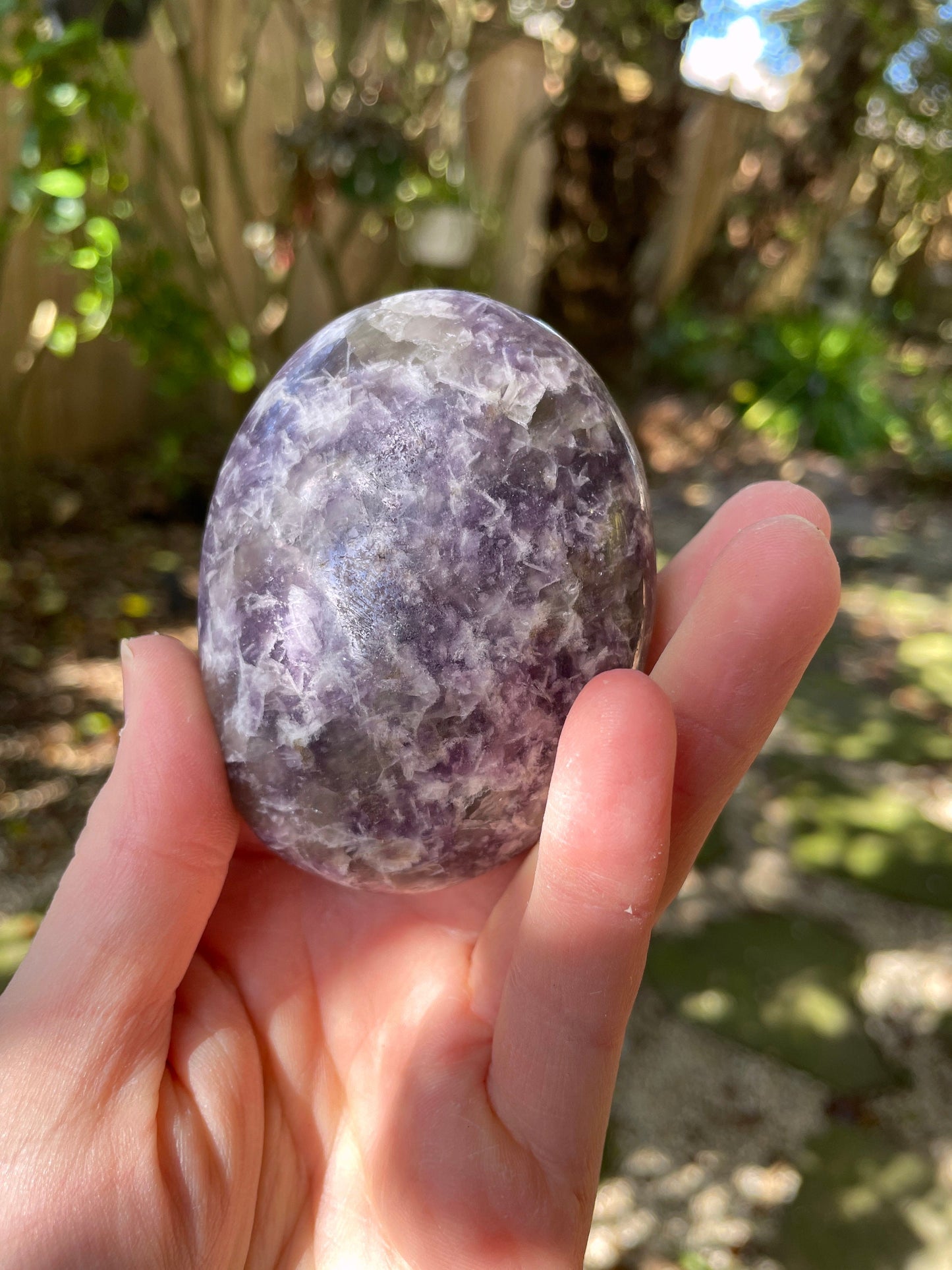 Large Purple Lepidolite Palm Stone Specimen 219.5 From Madagascar