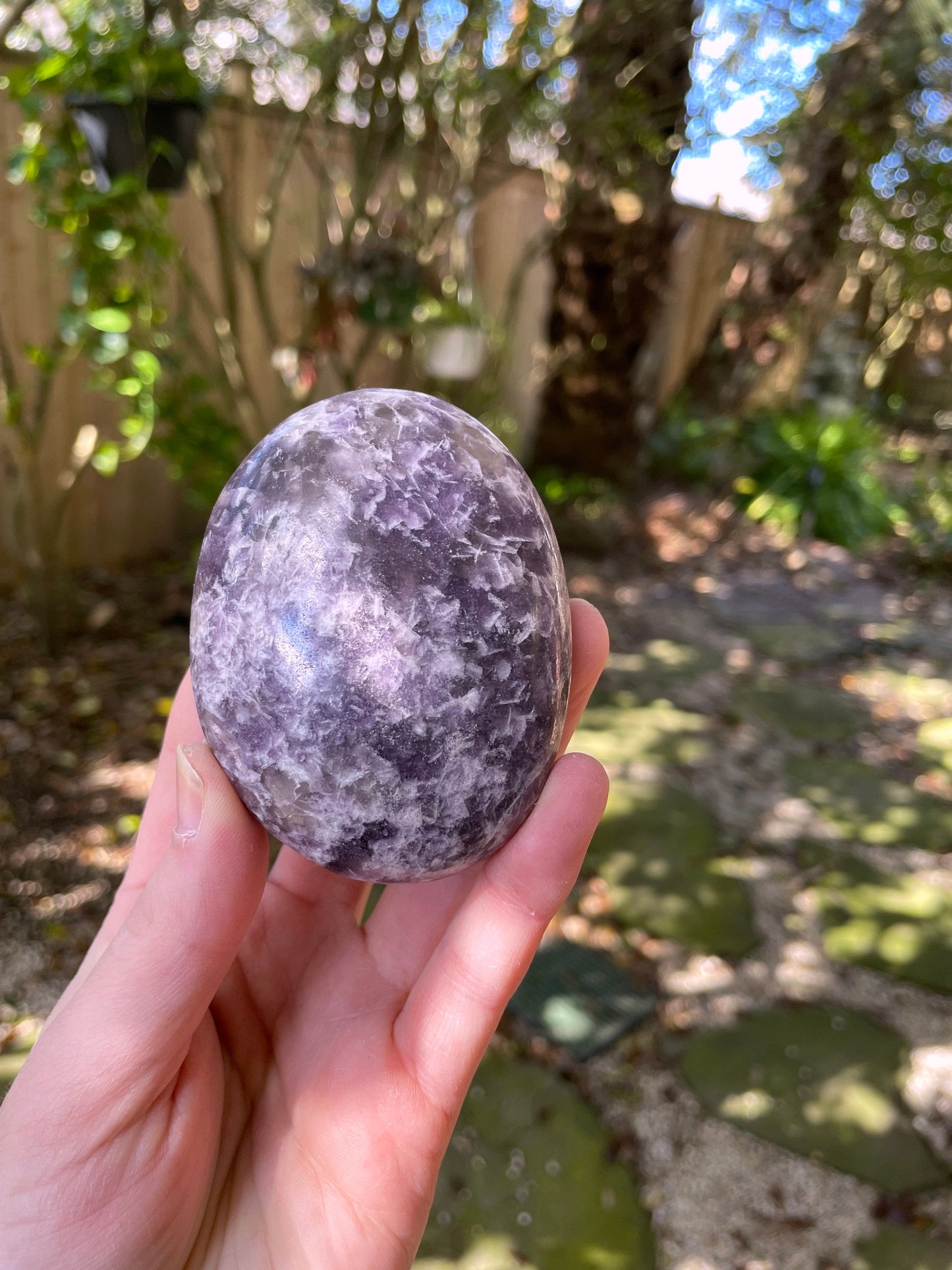 Large Purple Lepidolite Palm Stone Specimen 219.5 From Madagascar