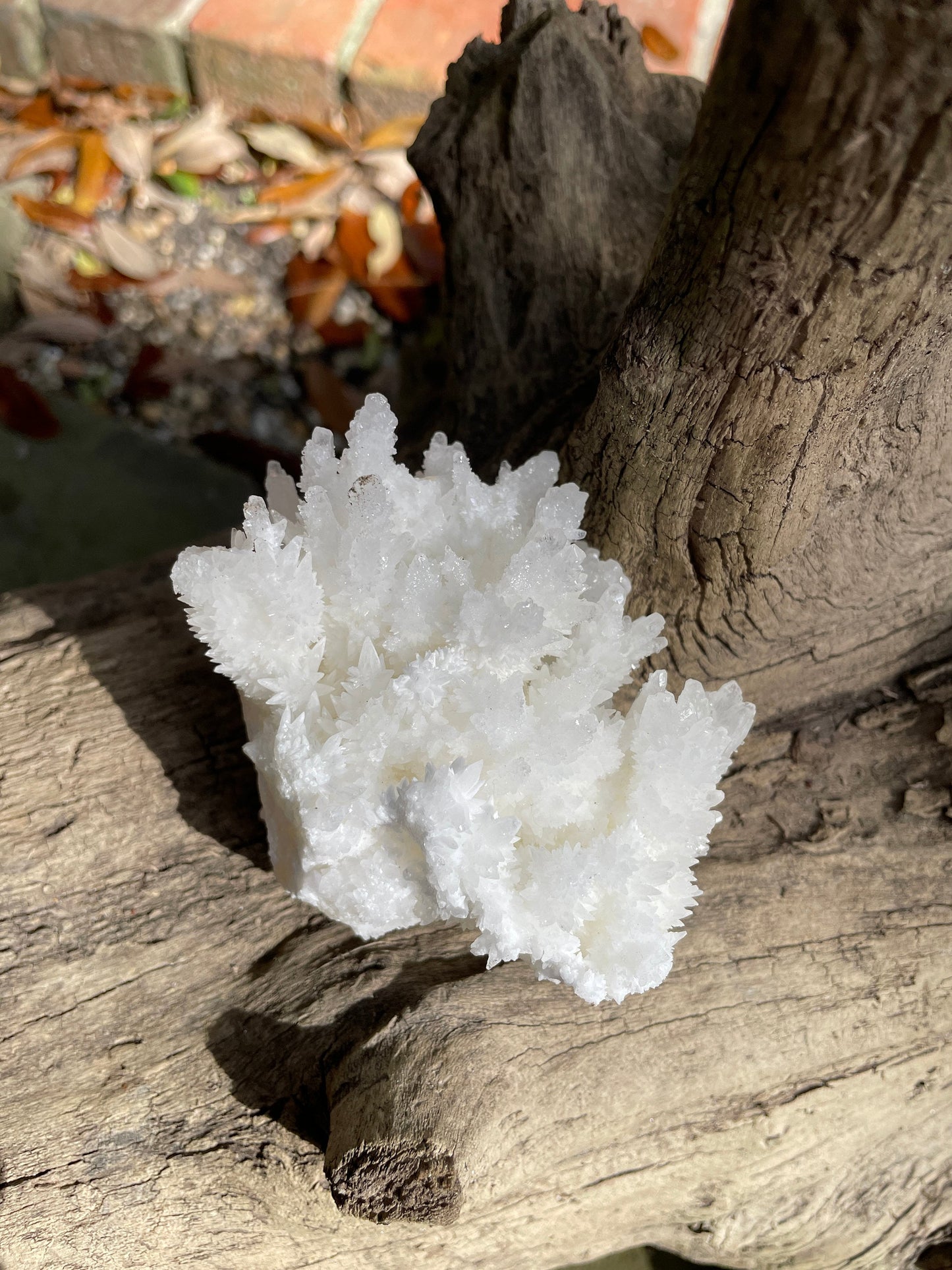 Aragonite Cave Calcite From Mexico 296.6g Specimen Crystals Minerals